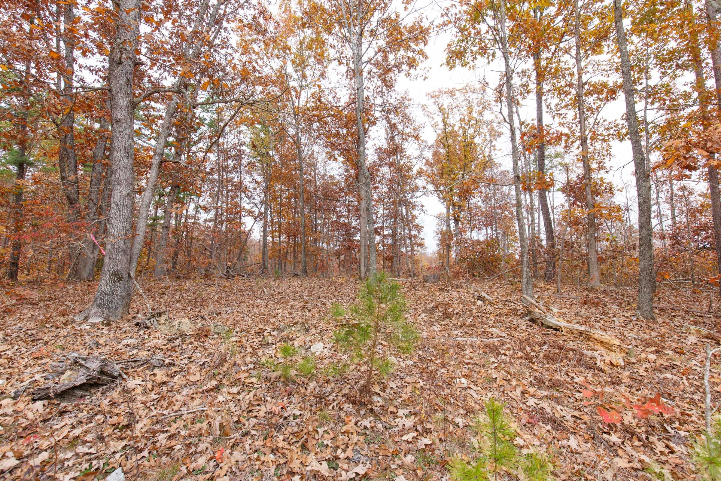 Hawkcrest Tract 8 photo 14