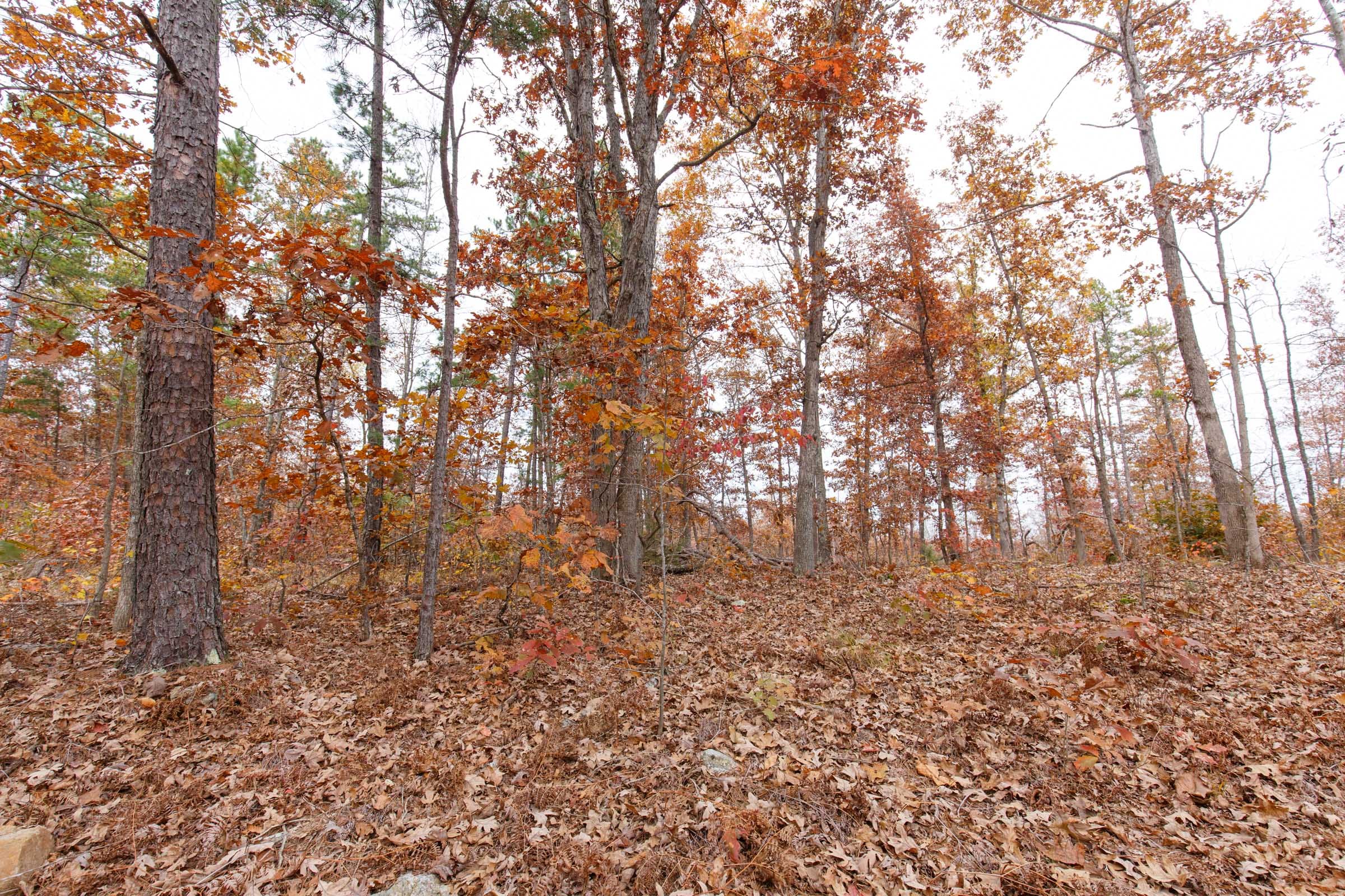 Hawkcrest Tract 8 photo 10