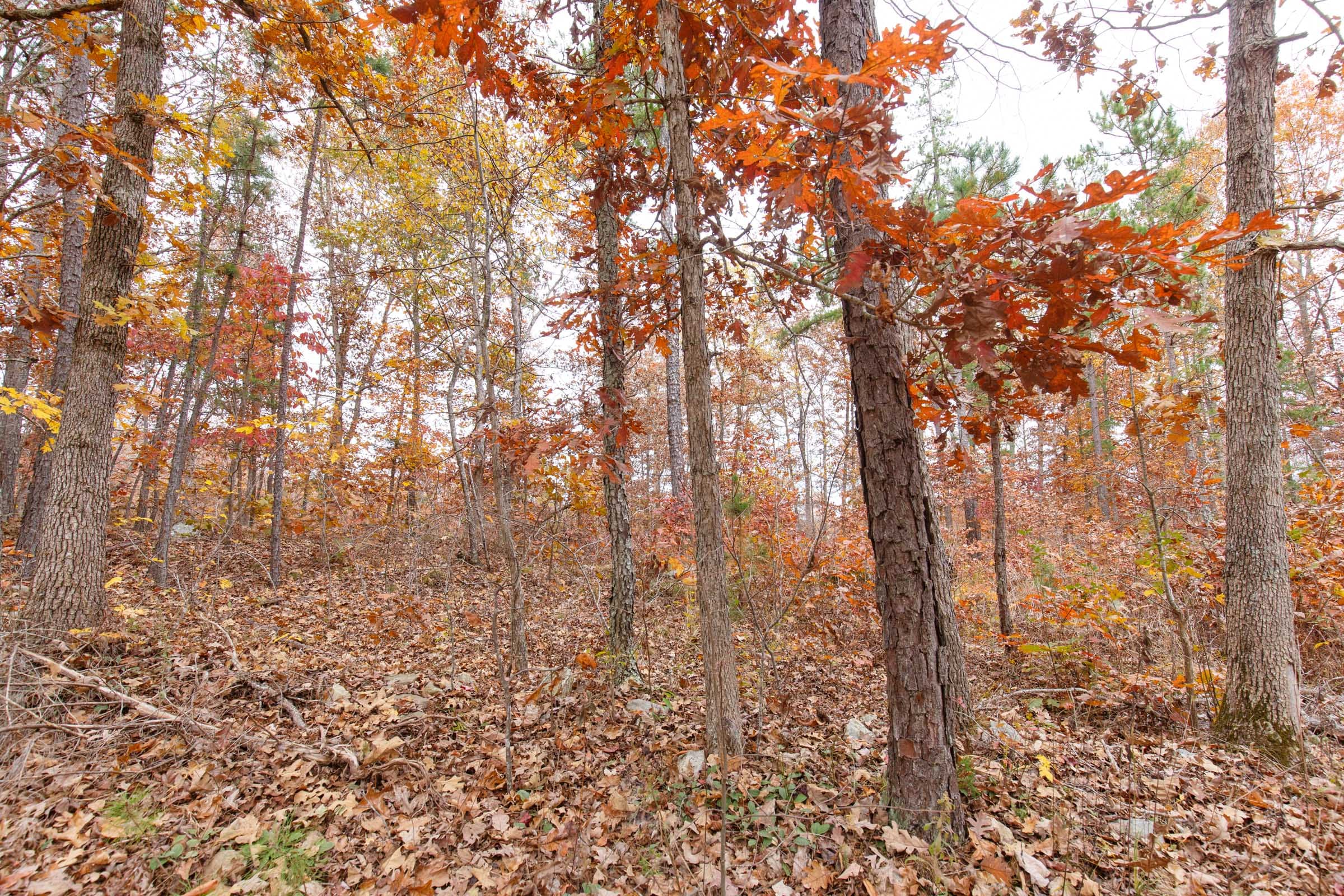 Hawkcrest Tract 8 photo 4