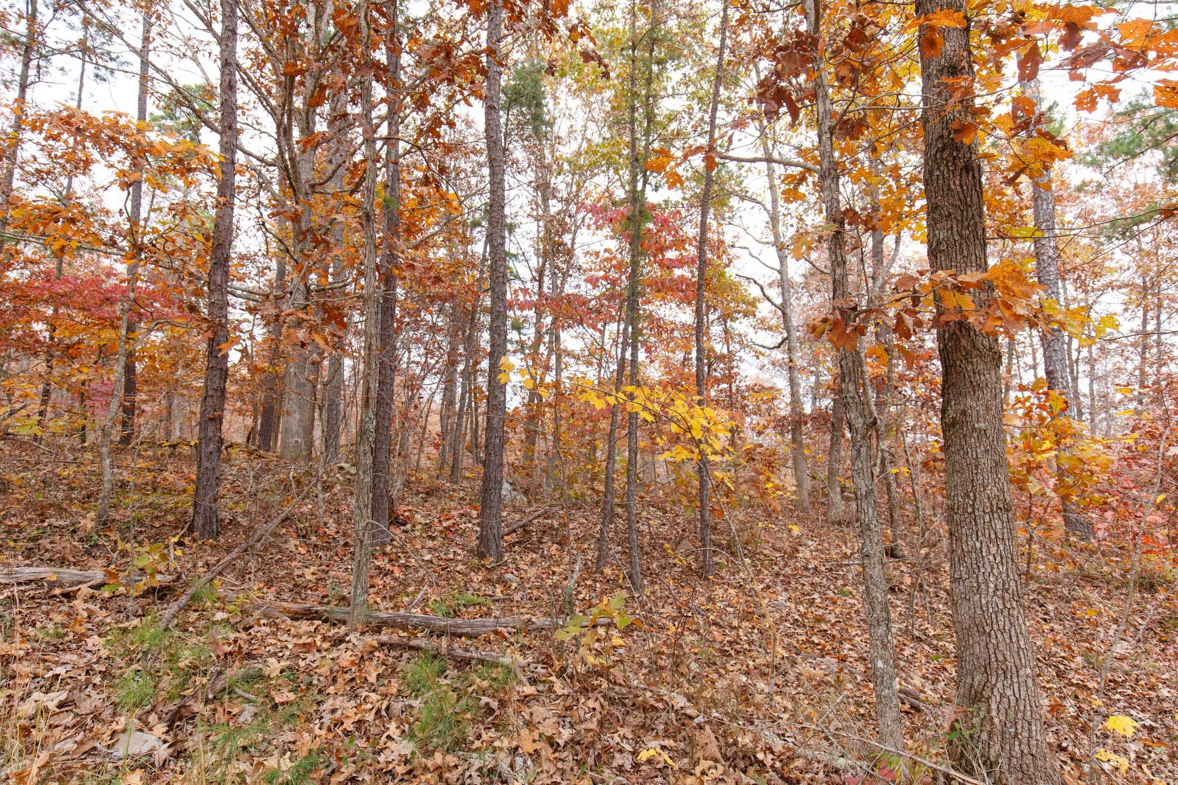 Hawkcrest Tract 8 photo 5