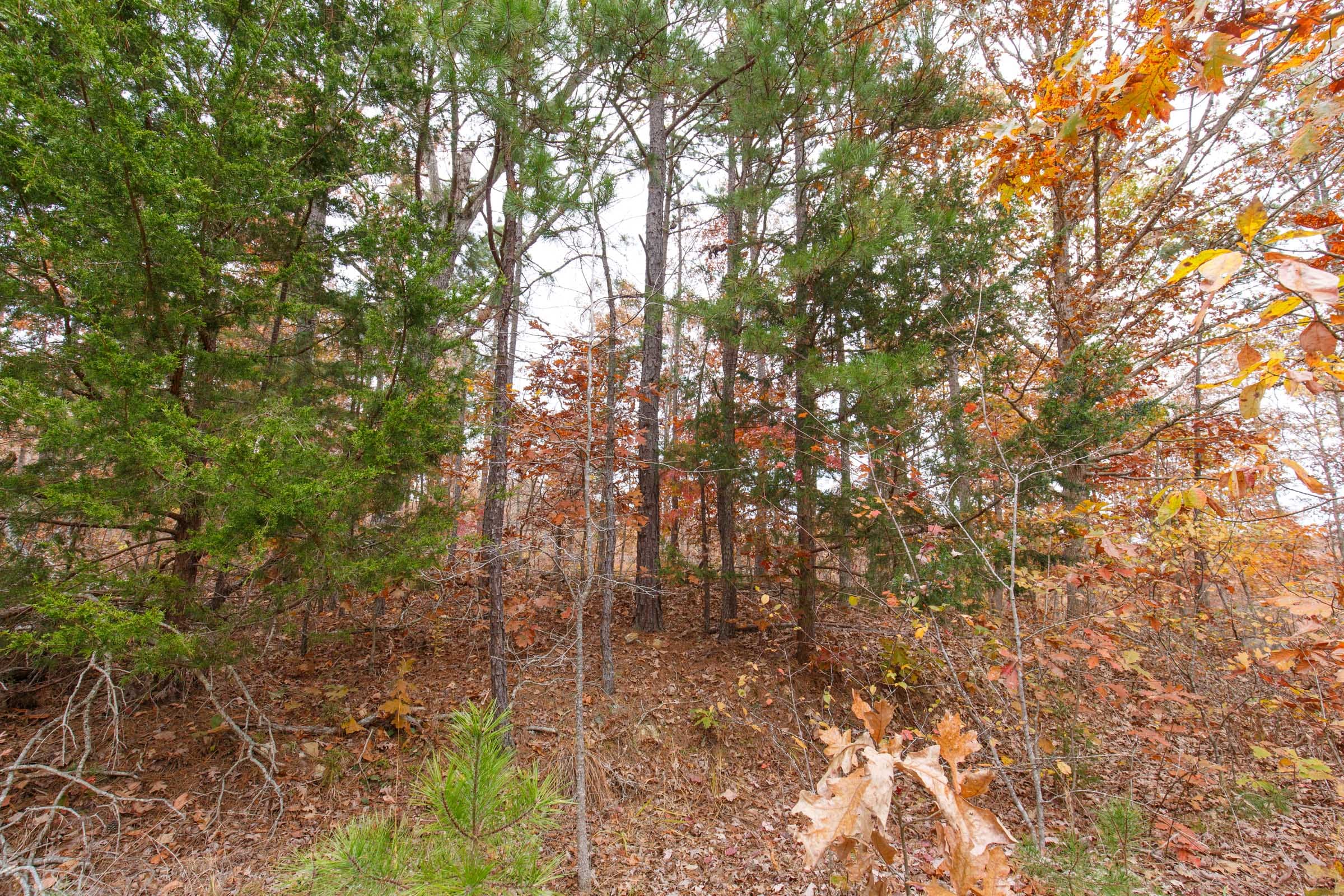 Hawkcrest Tract 8 photo 7