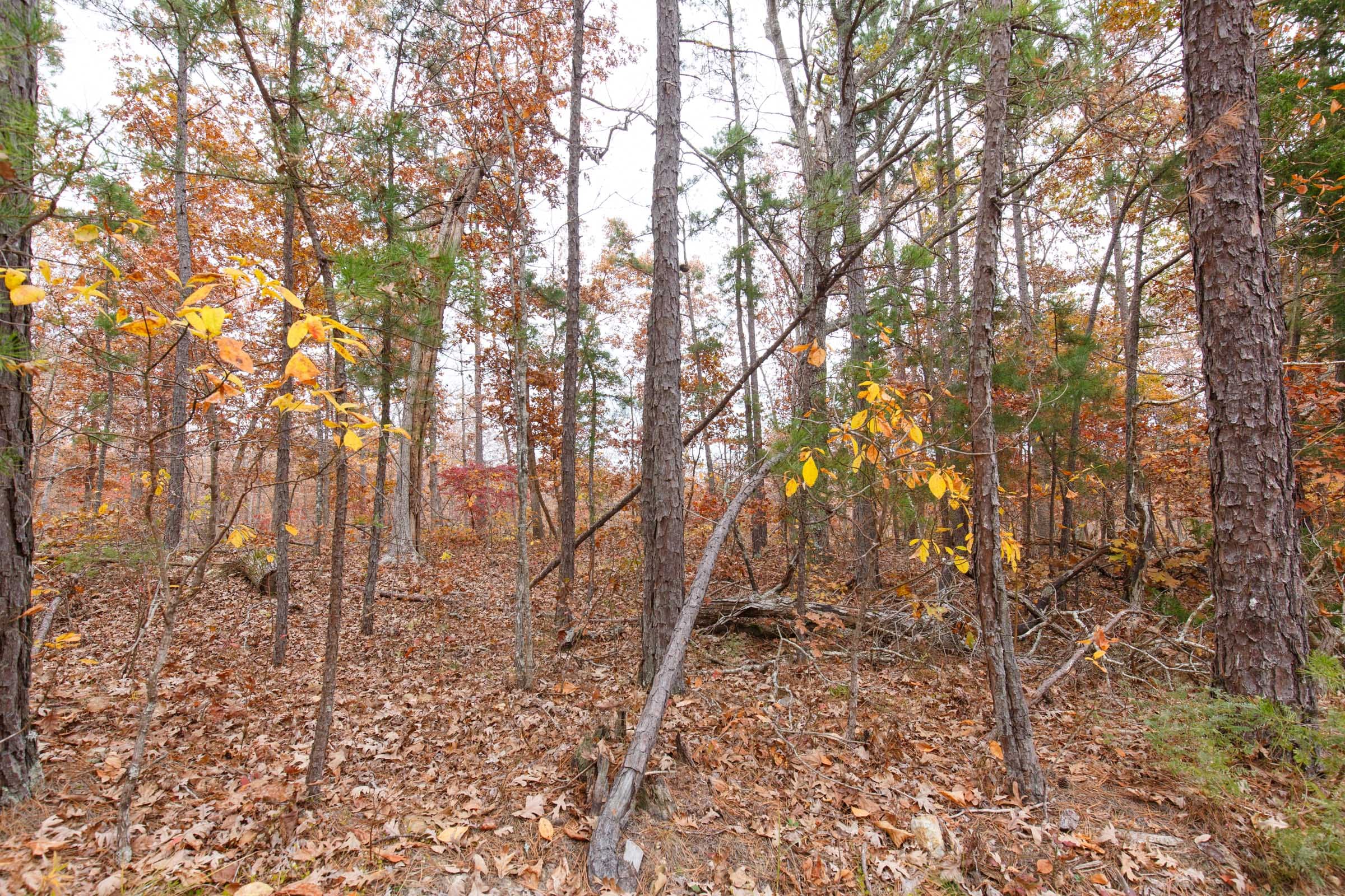 Hawkcrest Tract 8 photo 13