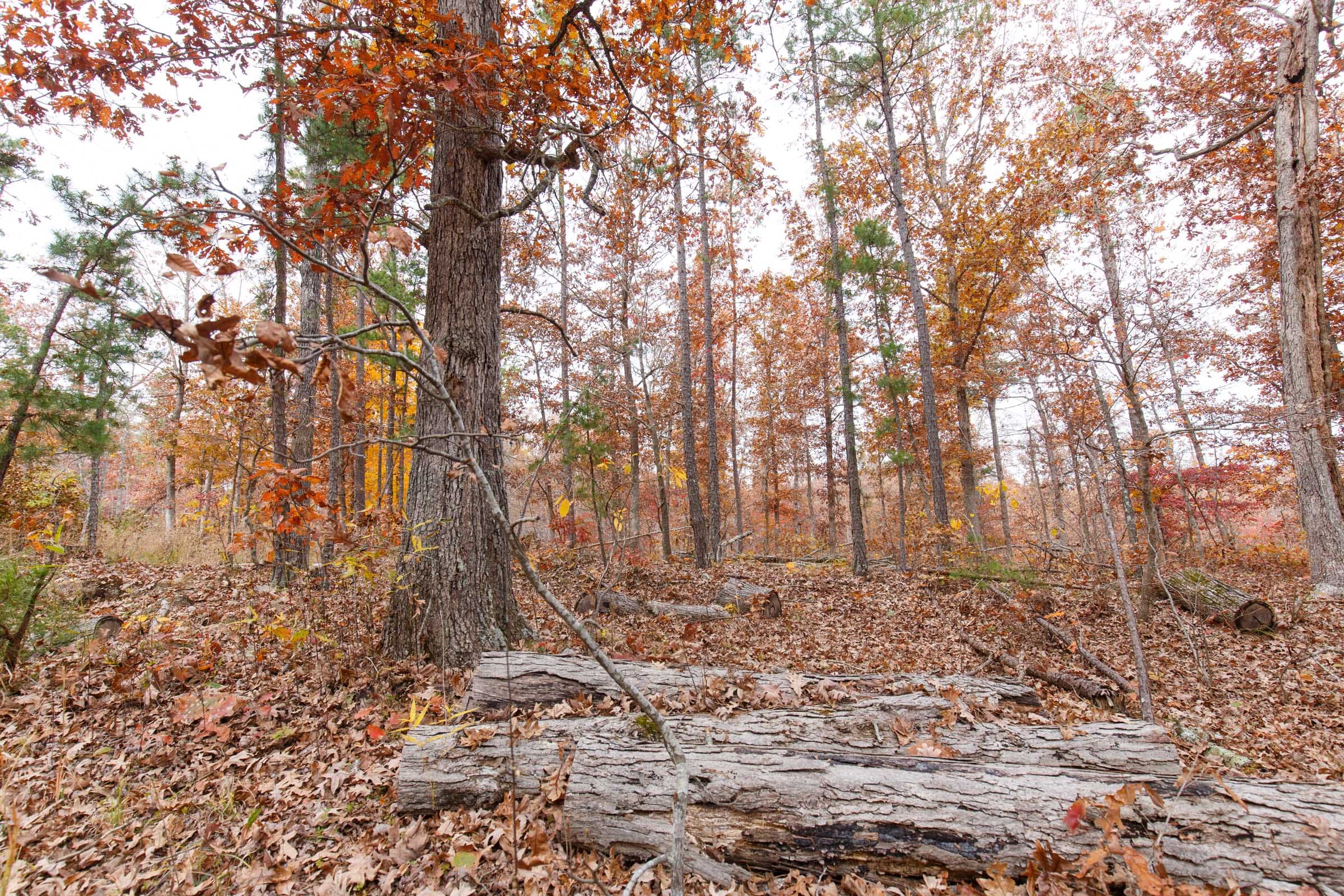 Hawkcrest Tract 8 photo 8