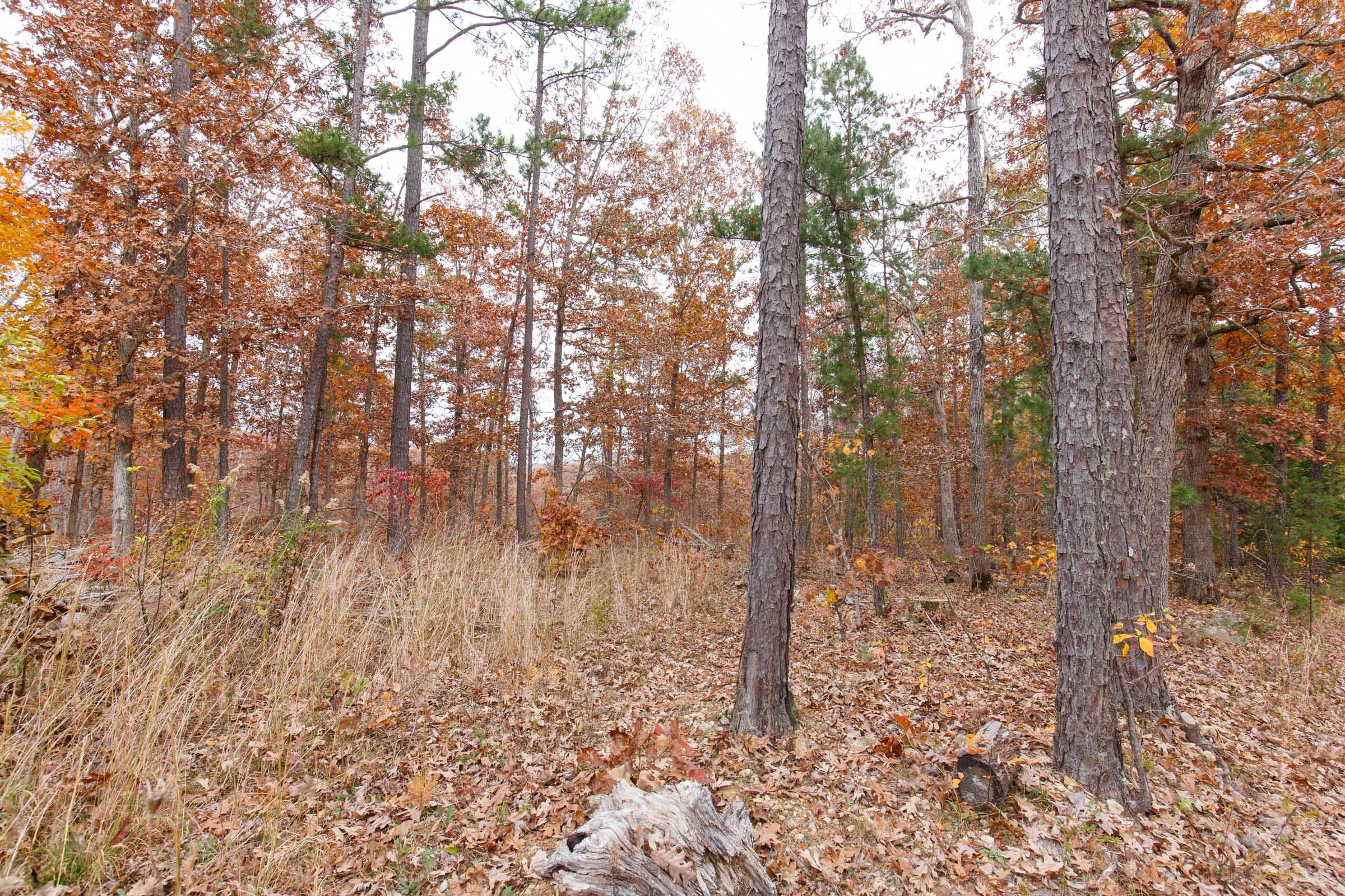 Hawkcrest Tract 8 photo 15