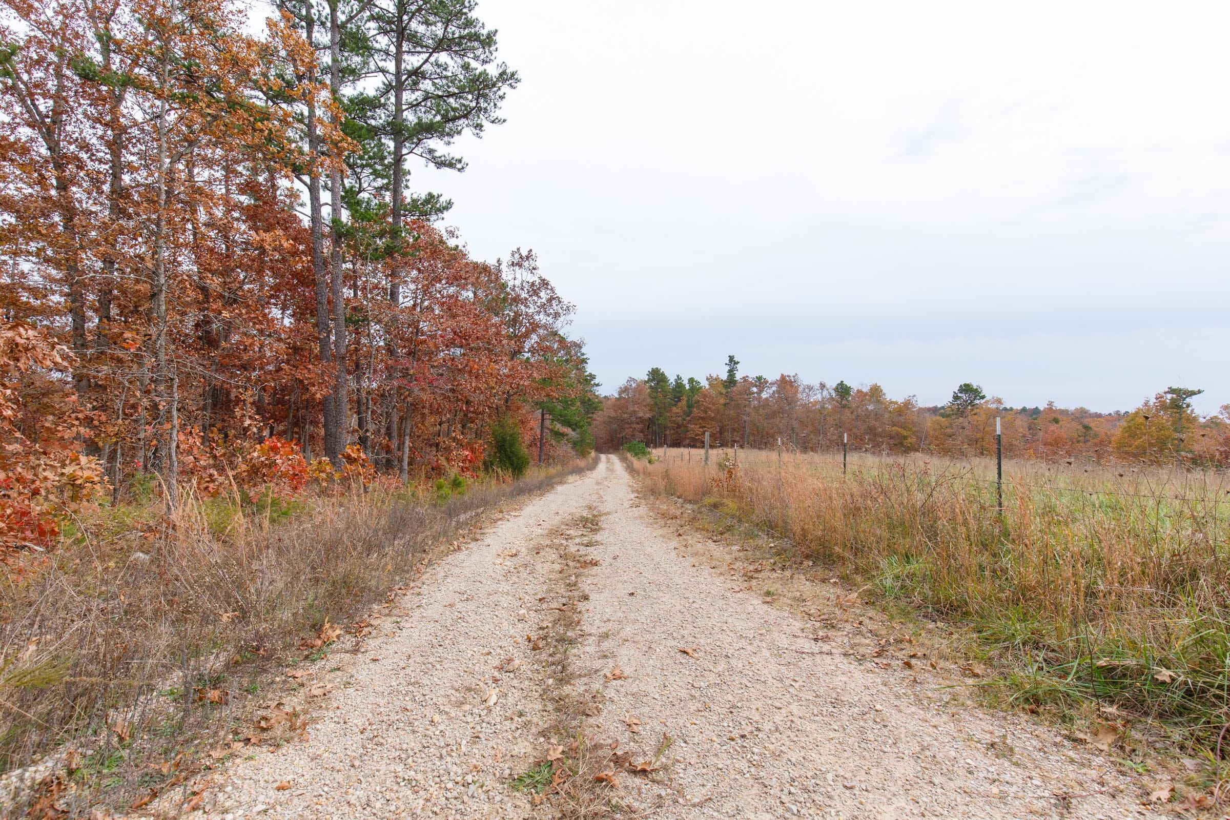 Hawkcrest Tract 8 photo 9