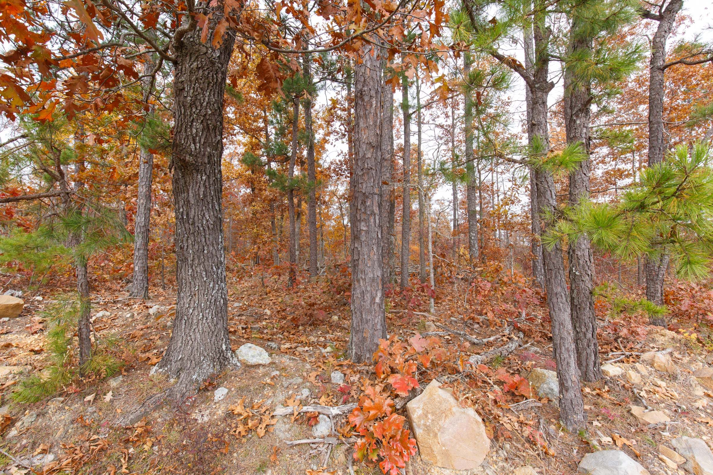 Hawkcrest Tract 8 photo 6