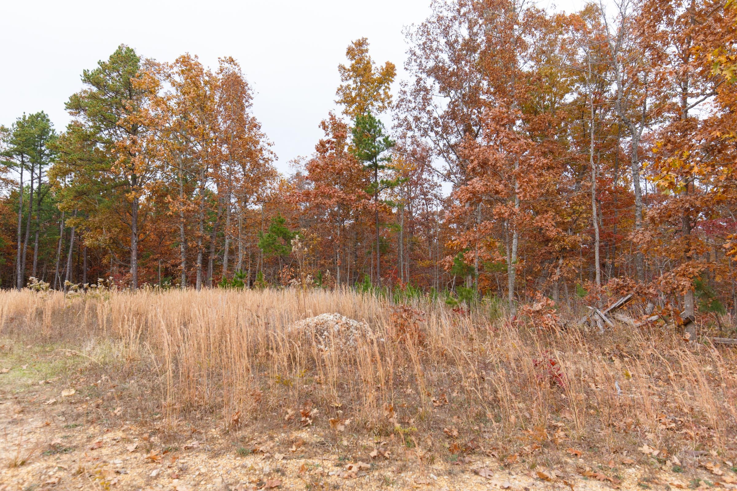 Hawkcrest Tract 8 photo 12