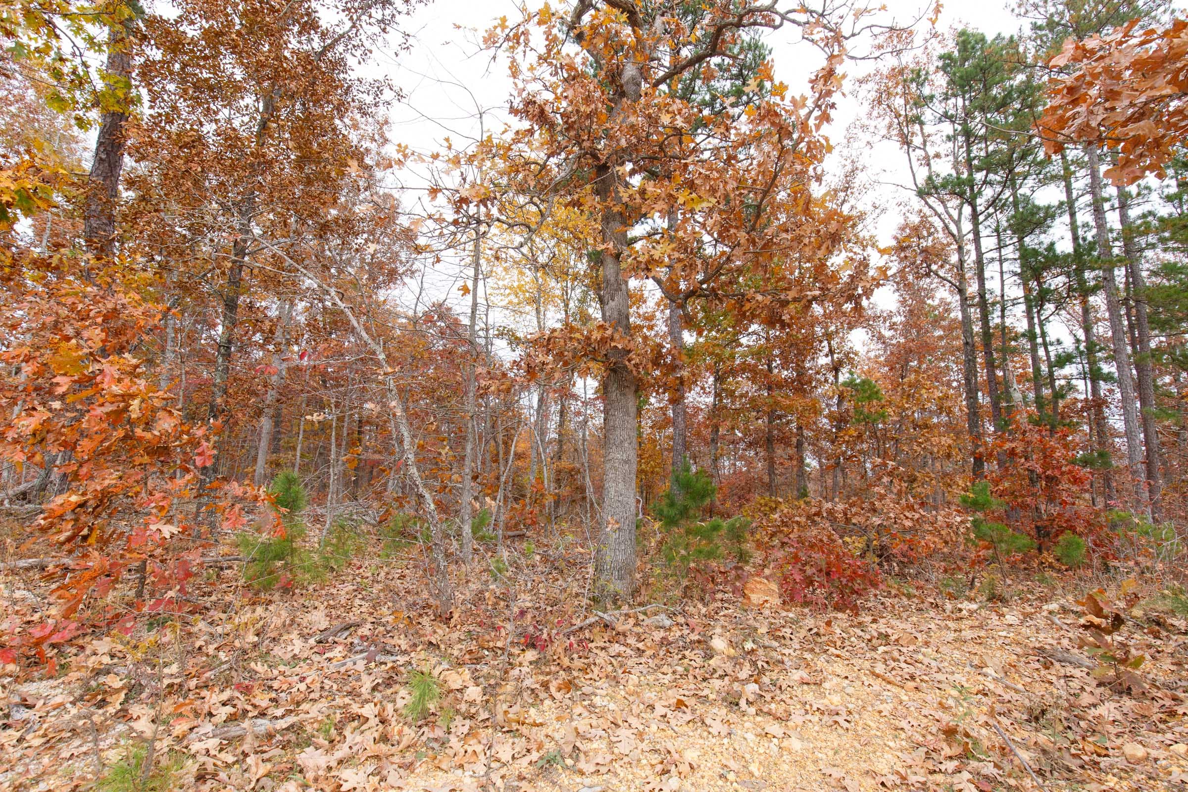 Hawkcrest Tract 8 photo 11