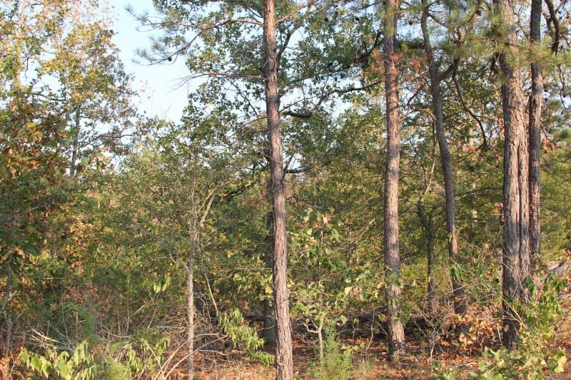 Lake View Ranch Tract 15 photo 1