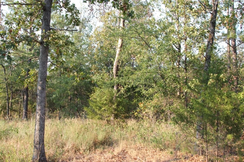 Lake View Ranch Tract 15 photo 2