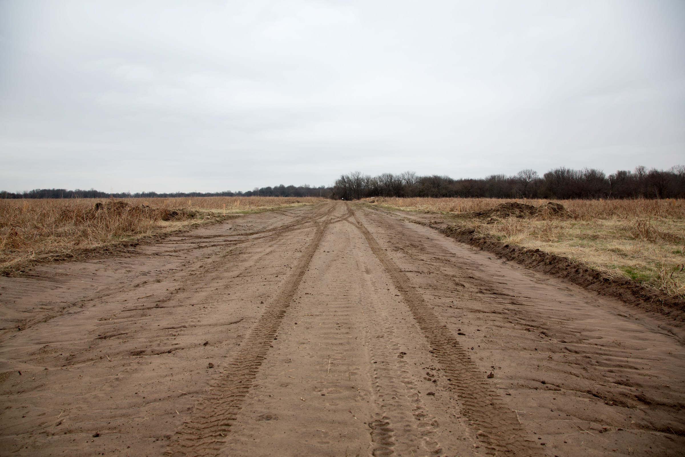 Canadian Plains Tract 29 photo 2