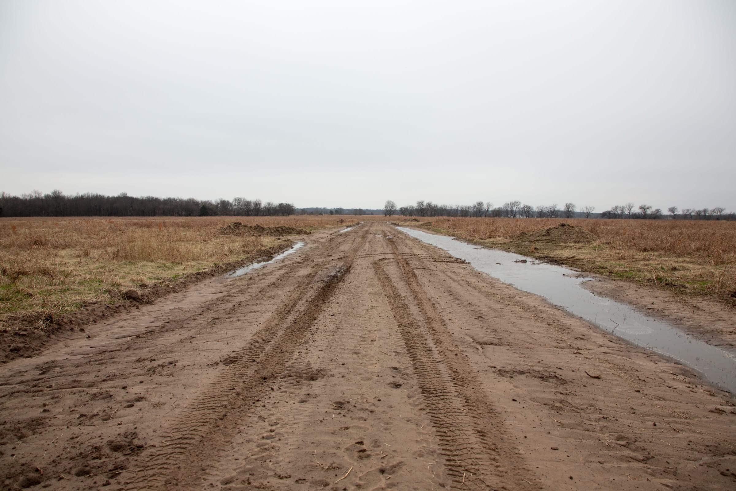 Canadian Plains Tract 29 photo 6