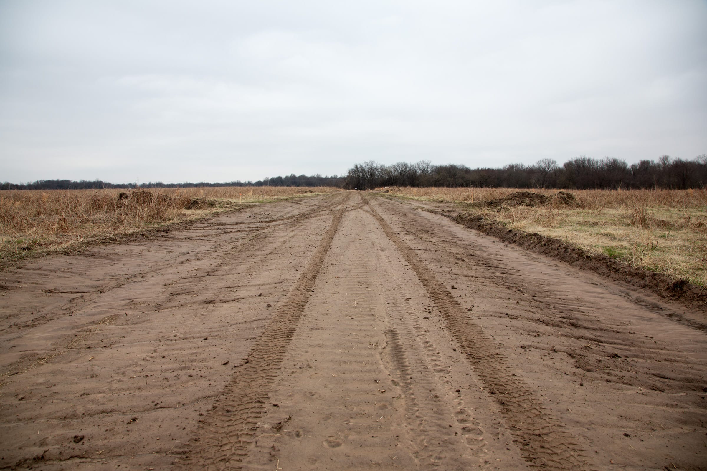 Canadian Plains Tract 29 photo 14