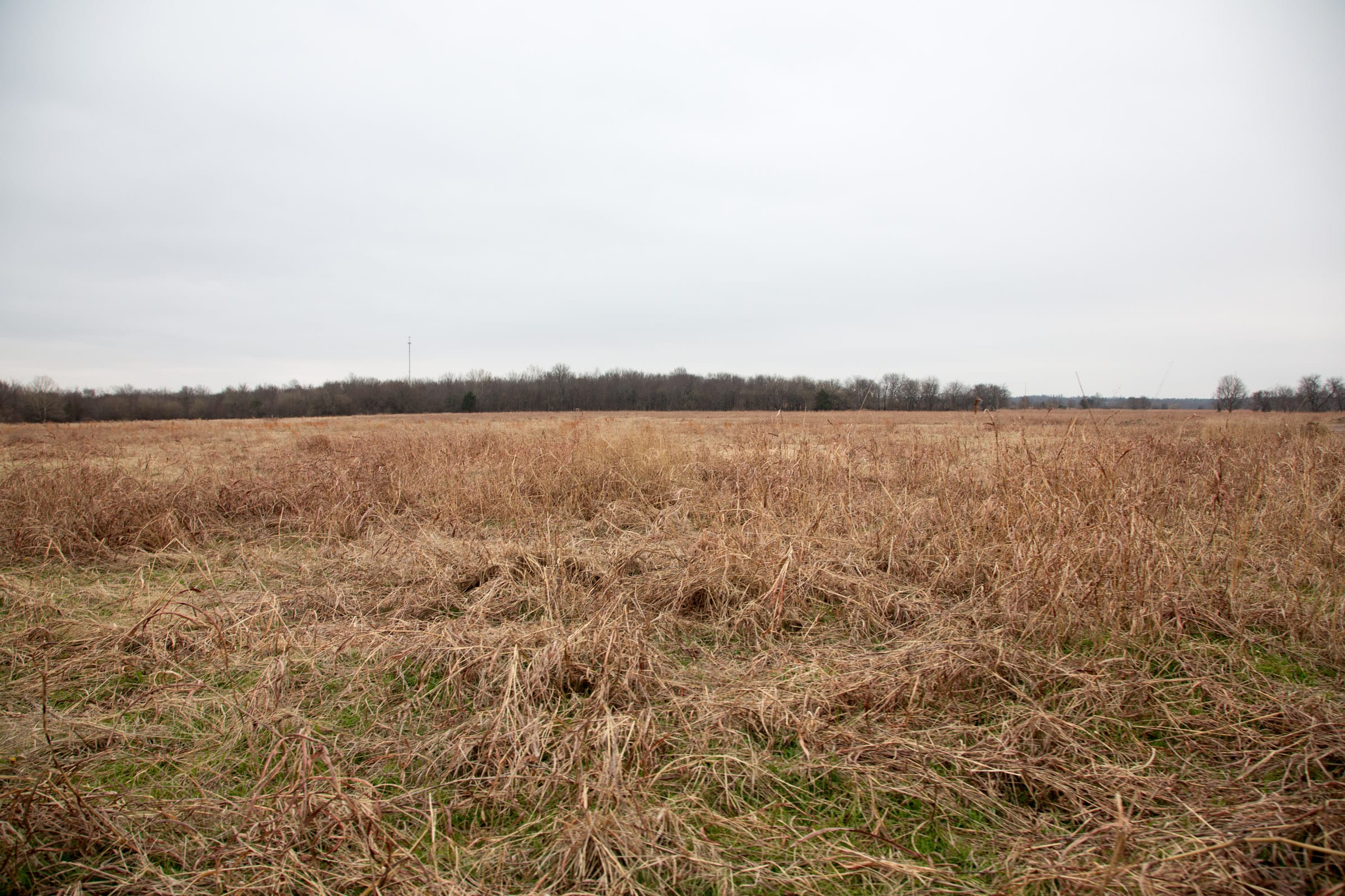Canadian Plains Tract 29 photo 8