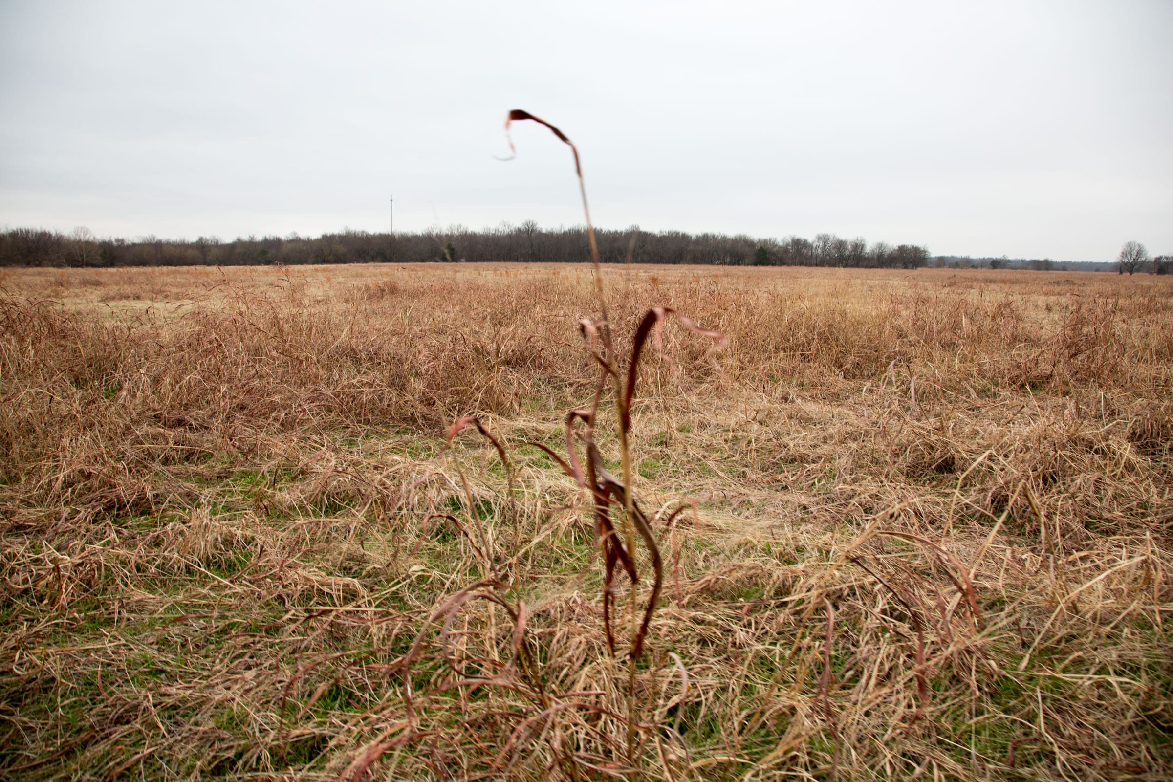 Canadian Plains Tract 29 photo 3