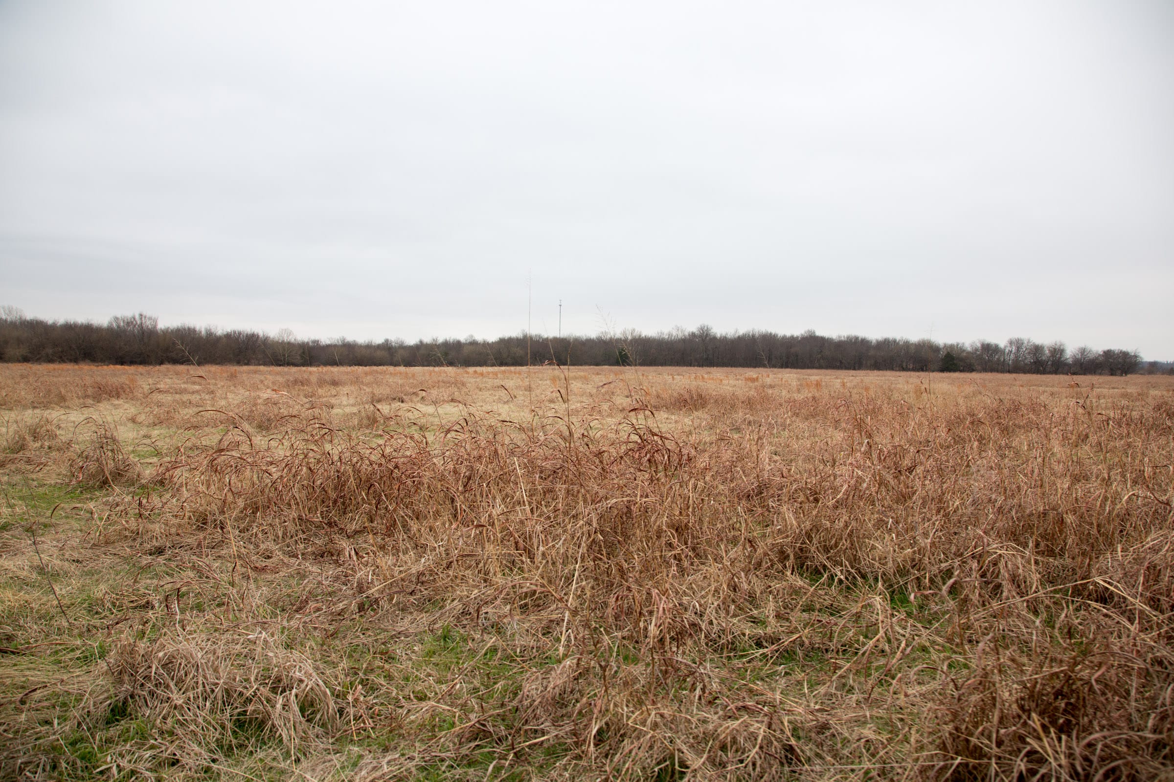 Canadian Plains Tract 29 photo 7