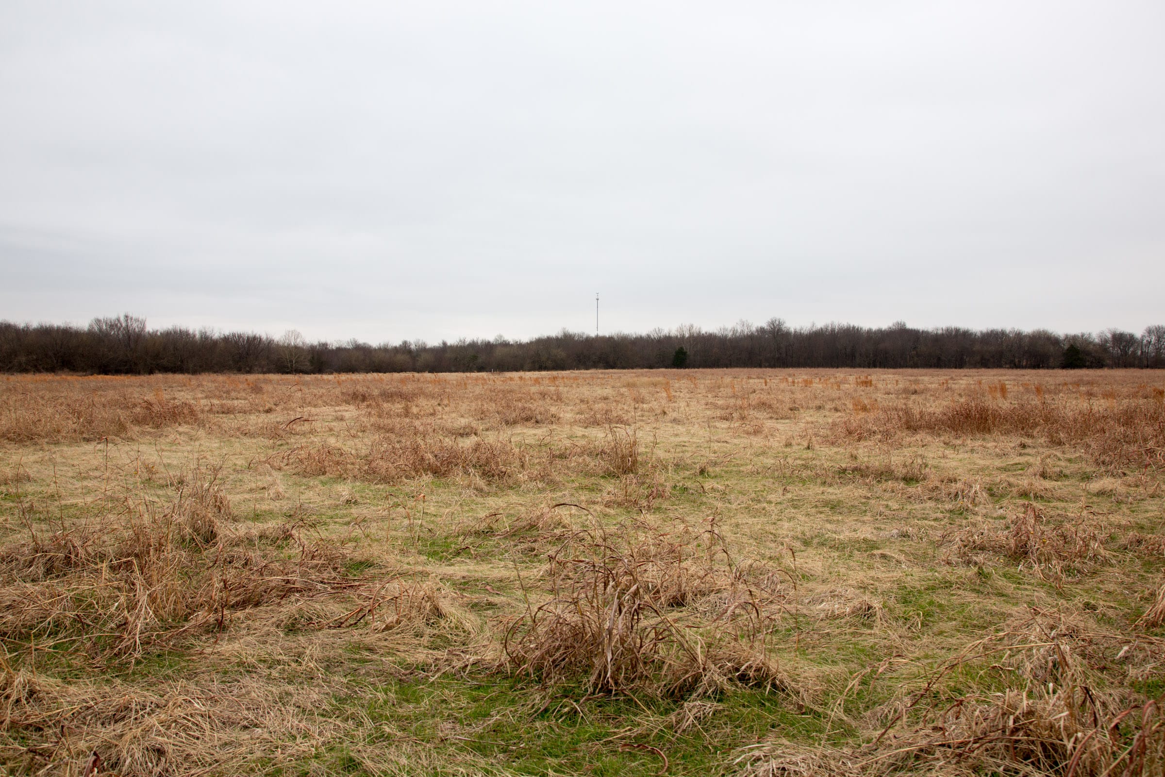 Canadian Plains Tract 29 photo 4