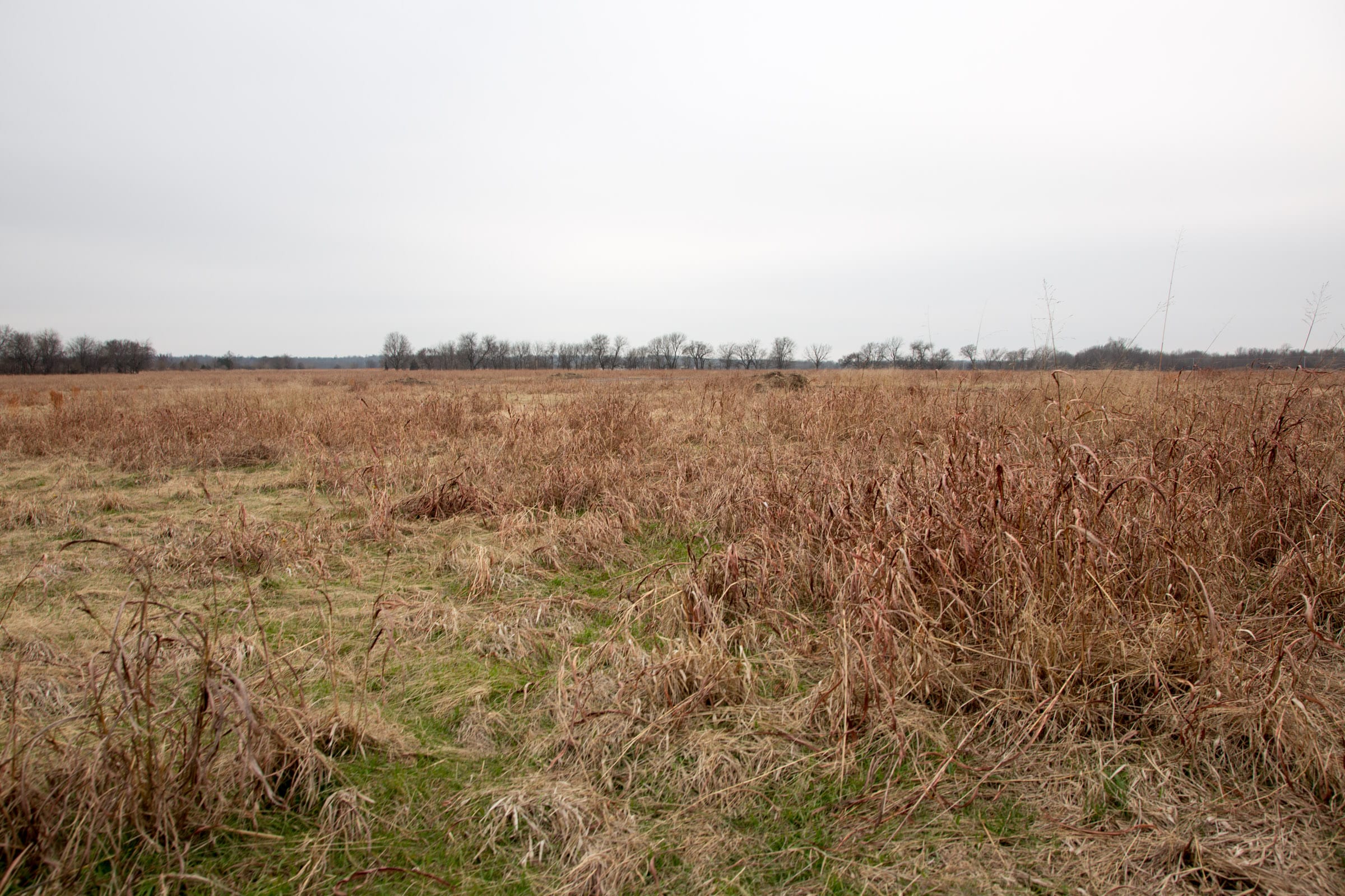 Canadian Plains Tract 29 photo 5