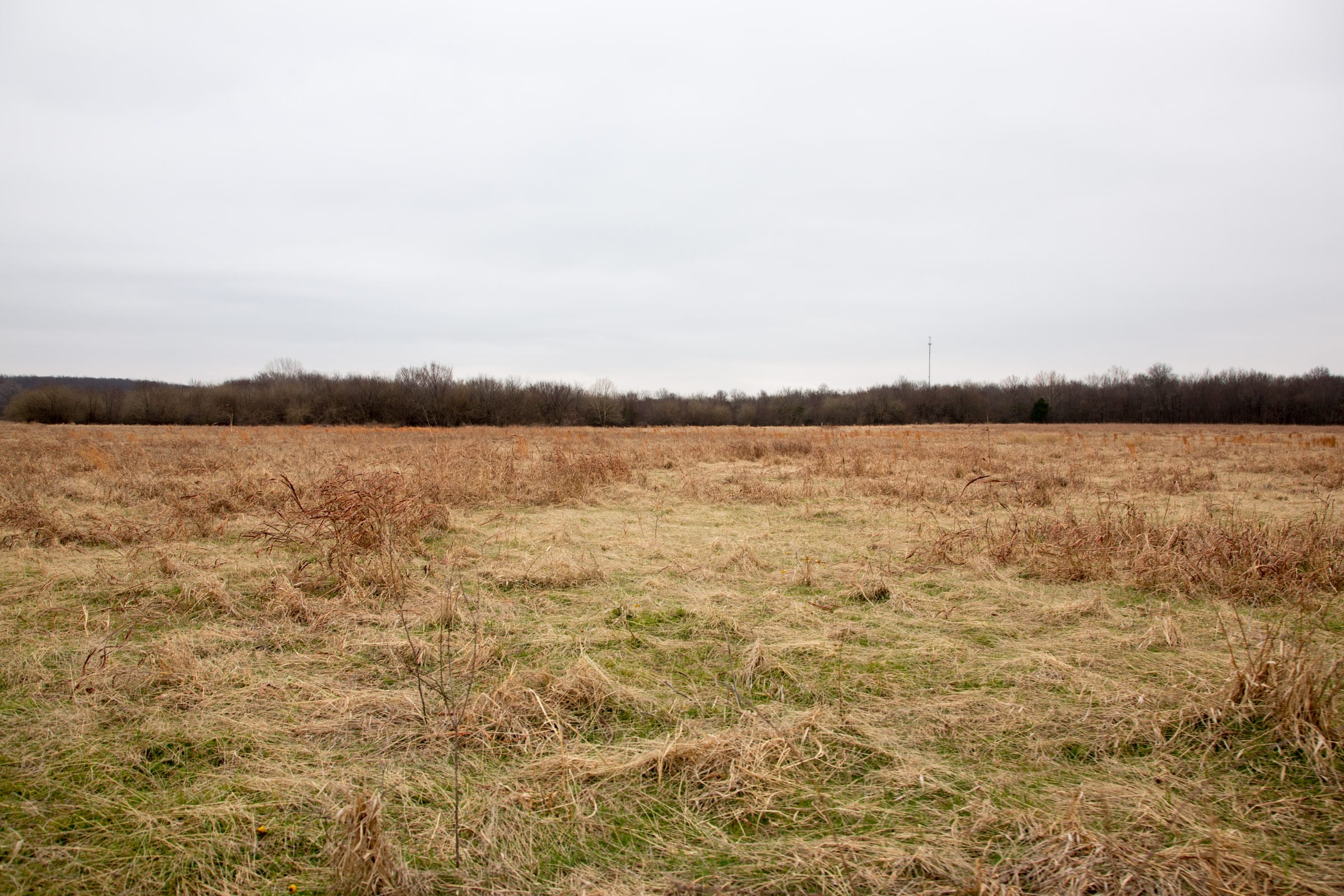 Canadian Plains Tract 29 photo 9