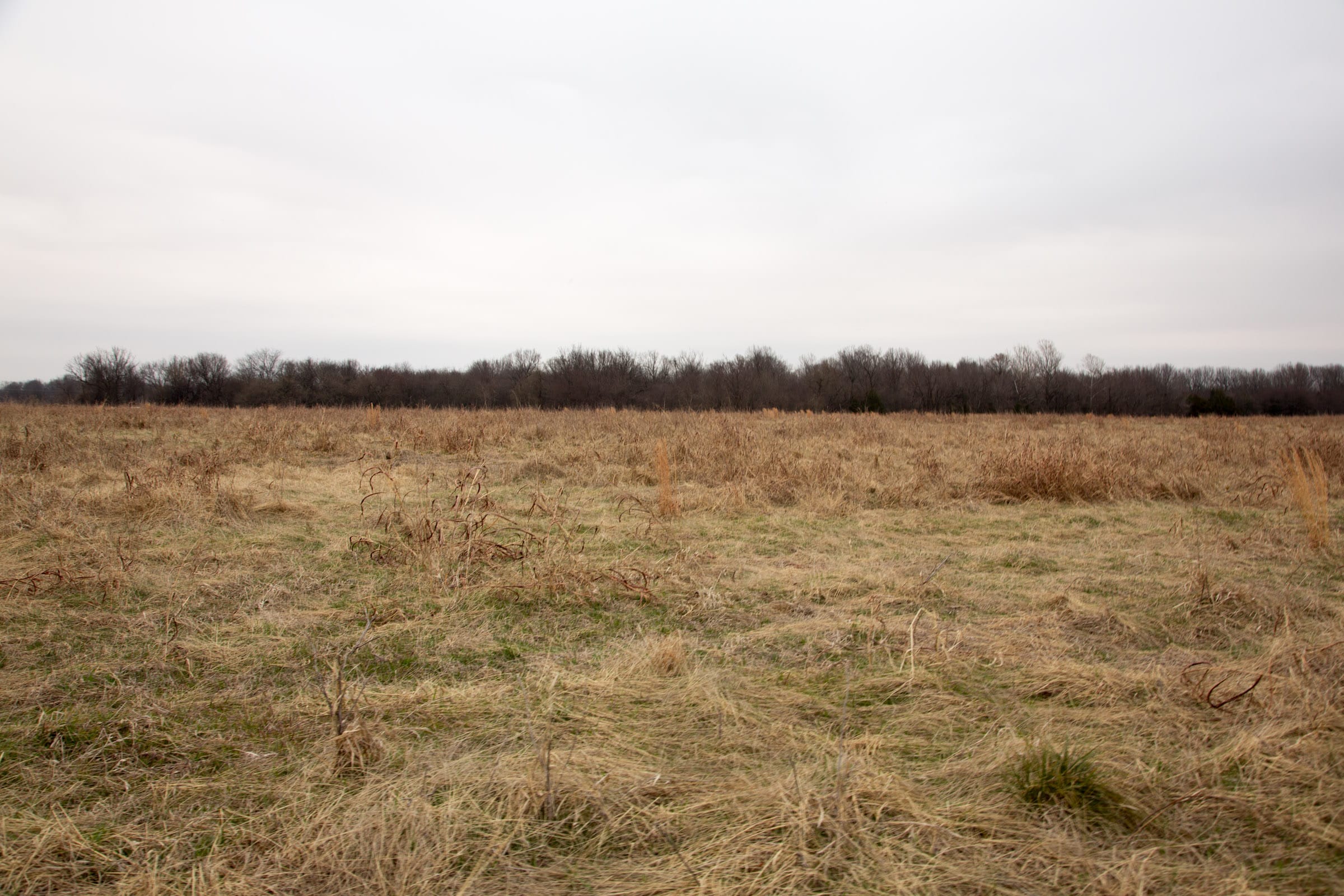 Canadian Plains Tract 29 photo 11