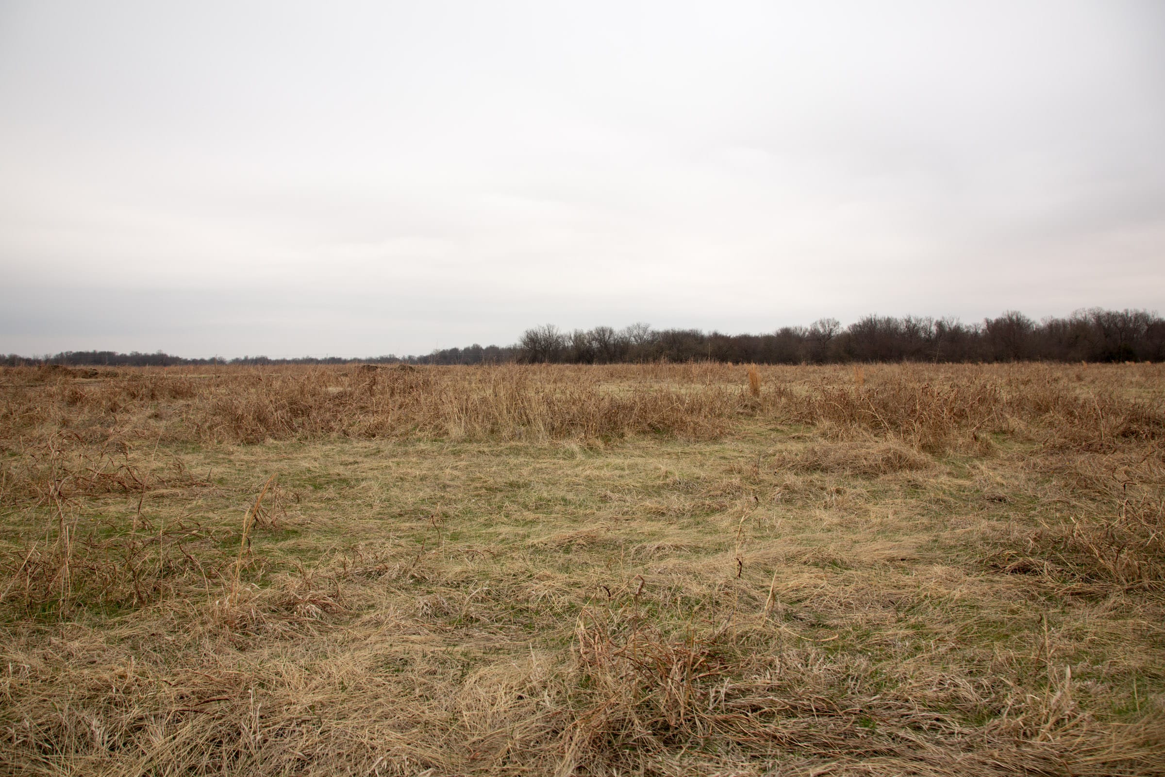 Canadian Plains Tract 29 photo 12