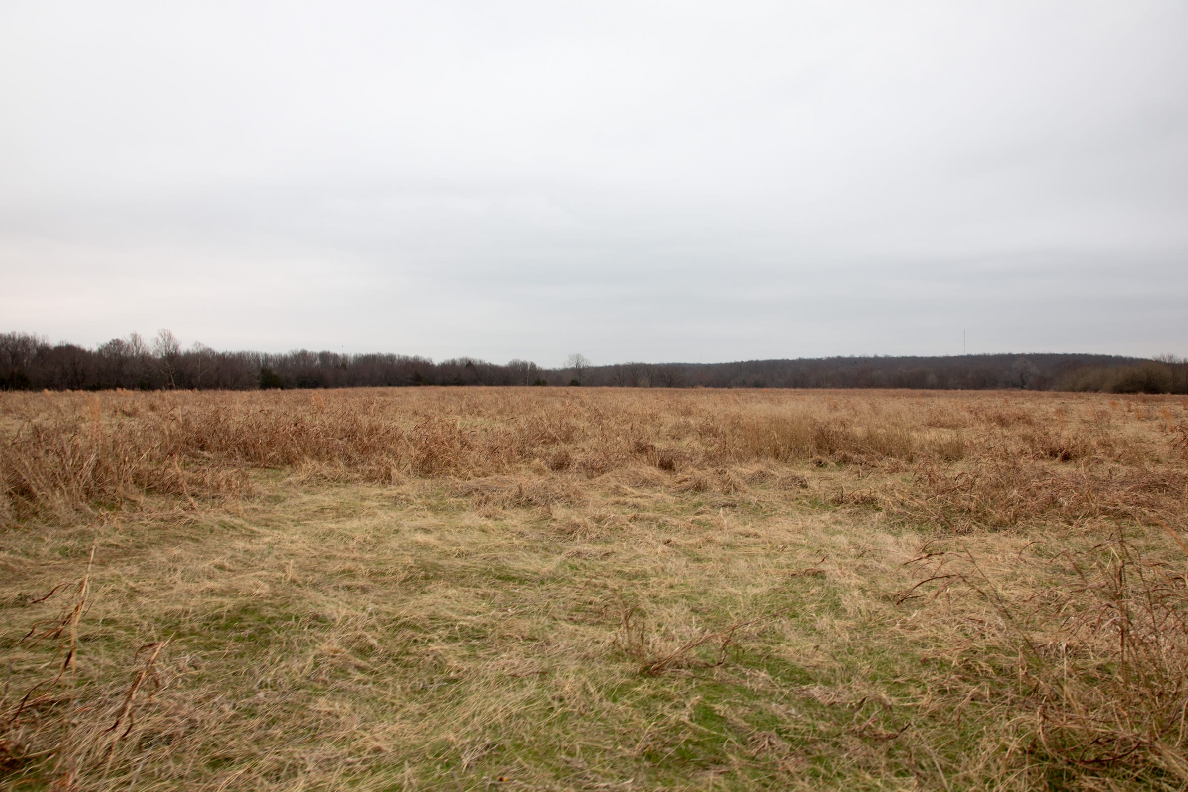 Canadian Plains Tract 29 photo 13