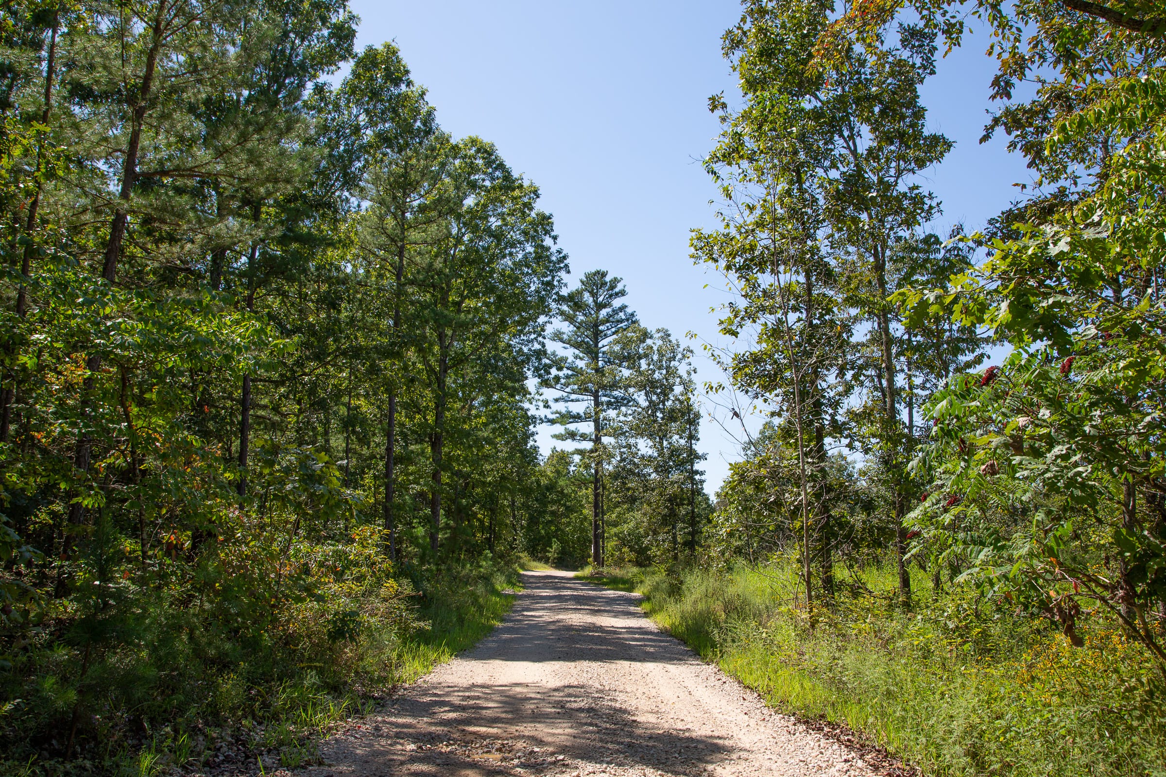 Borgmann’s Hollow Phase III Tract 86 photo 2