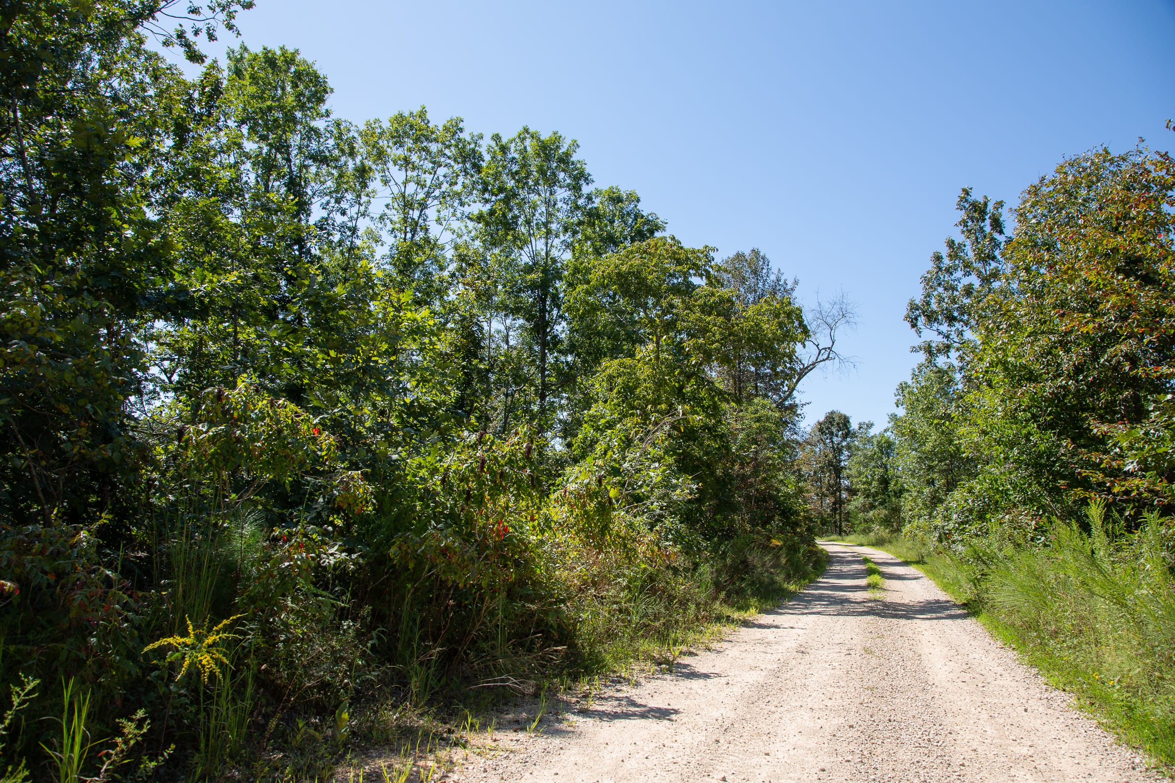 Borgmann’s Hollow Phase III Tract 86 photo 11