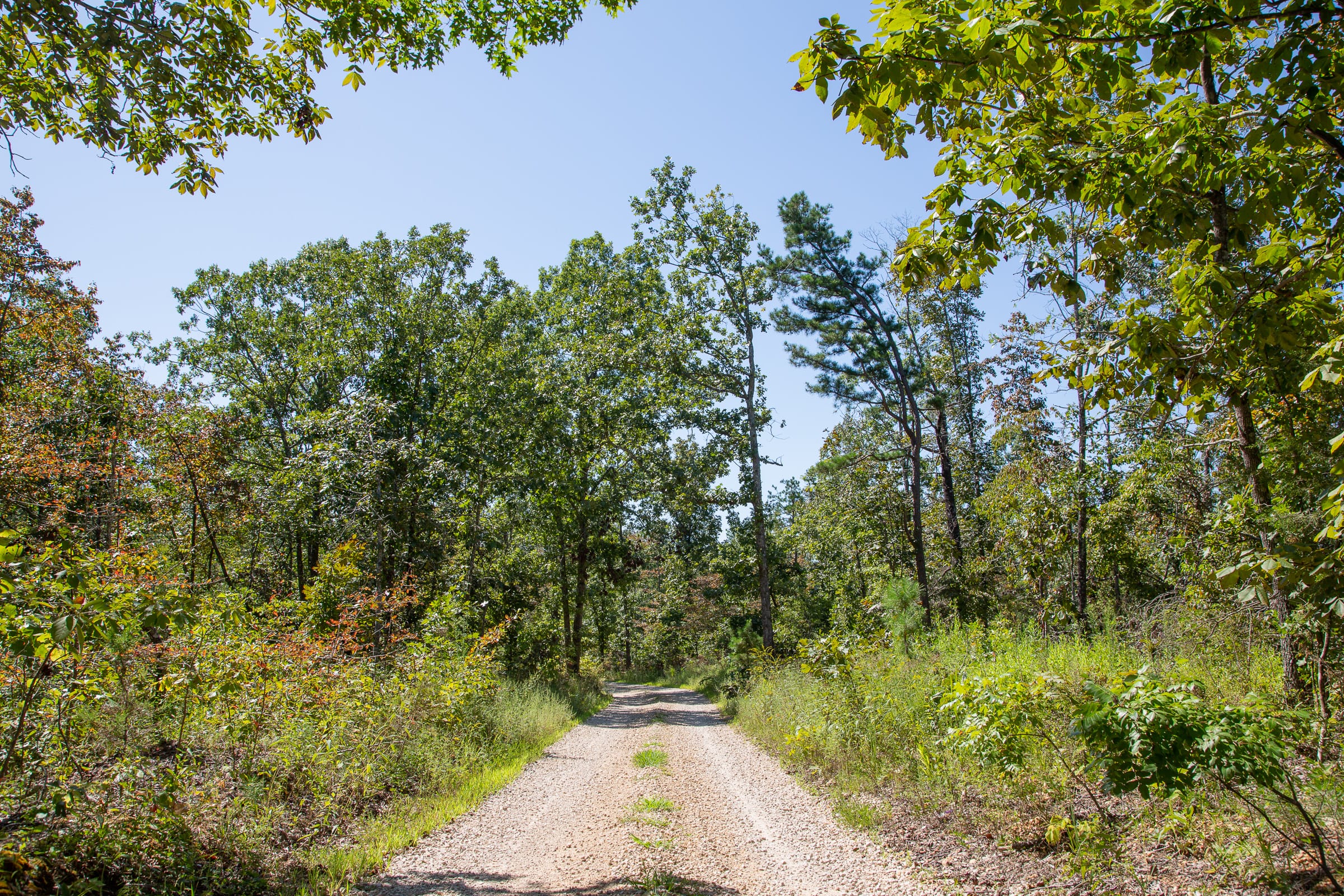 Borgmann’s Hollow Phase III Tract 86 photo 15