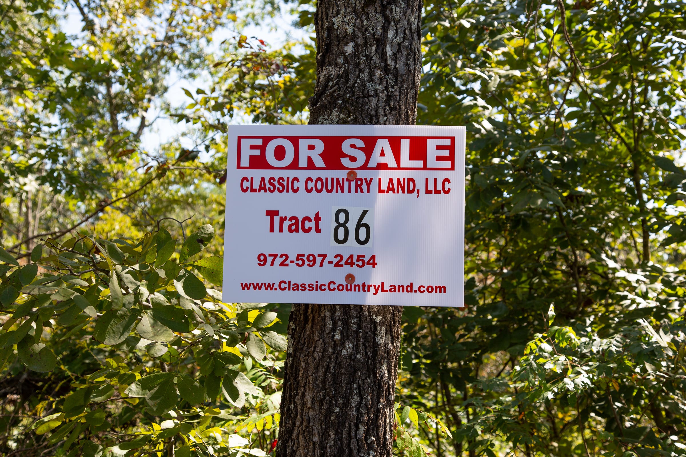 Borgmann’s Hollow Phase III Tract 86 photo 1
