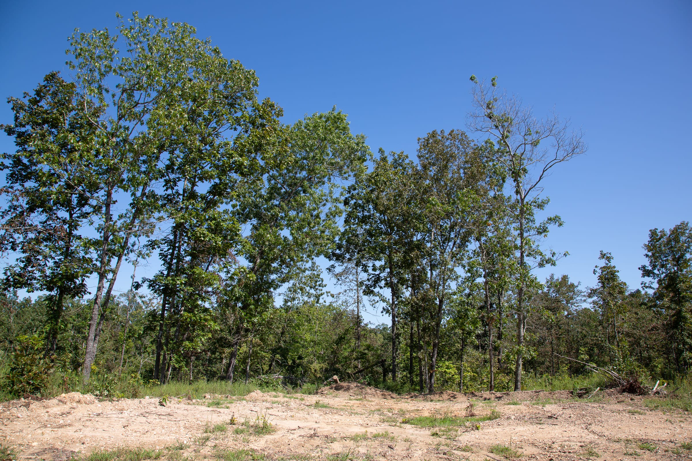 Borgmann’s Hollow Phase III Tract 86 photo 14