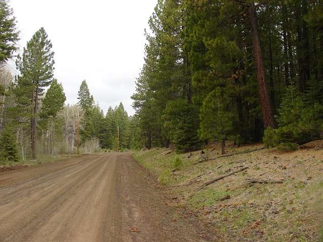 California Pines Tract 81 photo 3