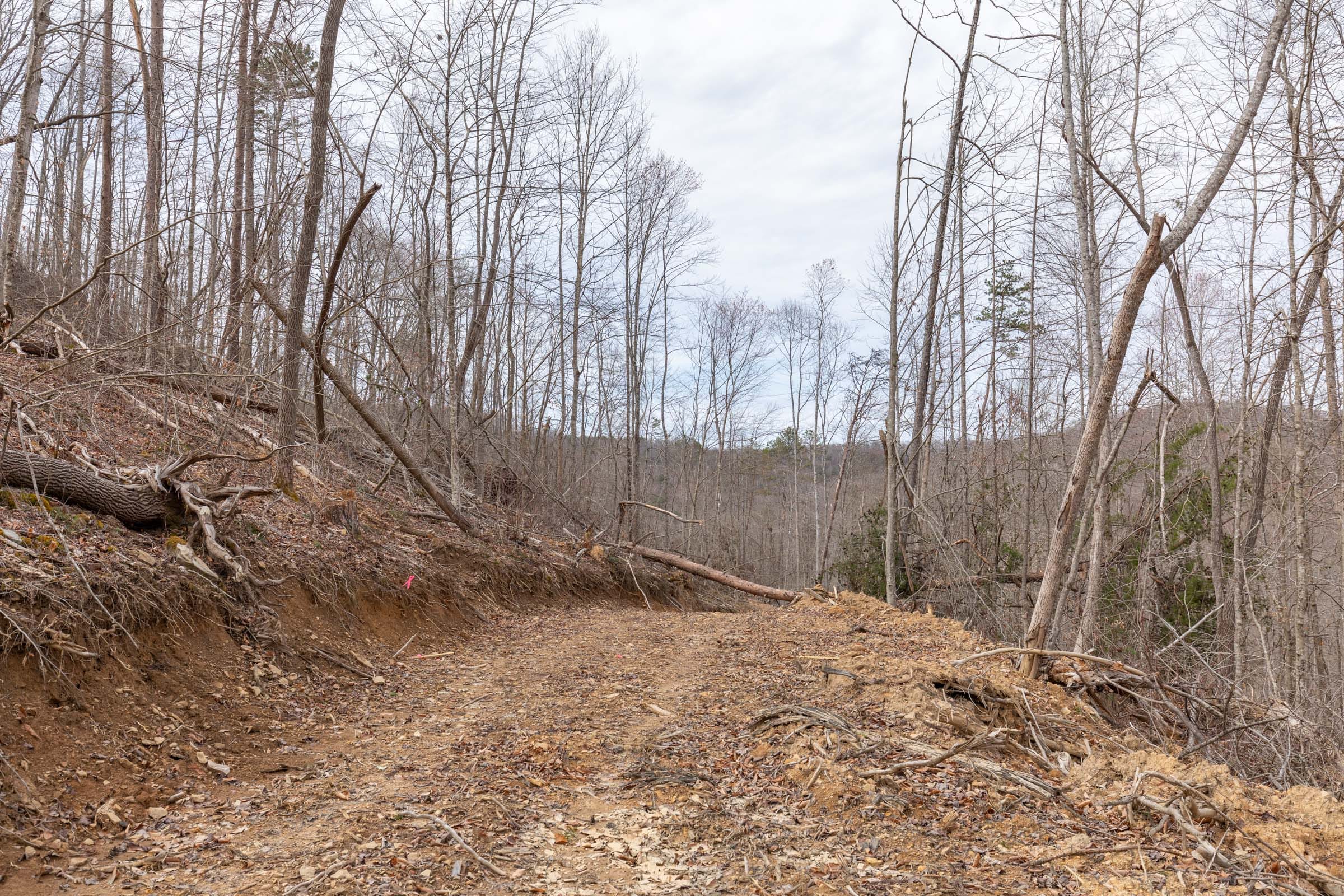 Creek Hollow Phase I Tract 4 photo 3