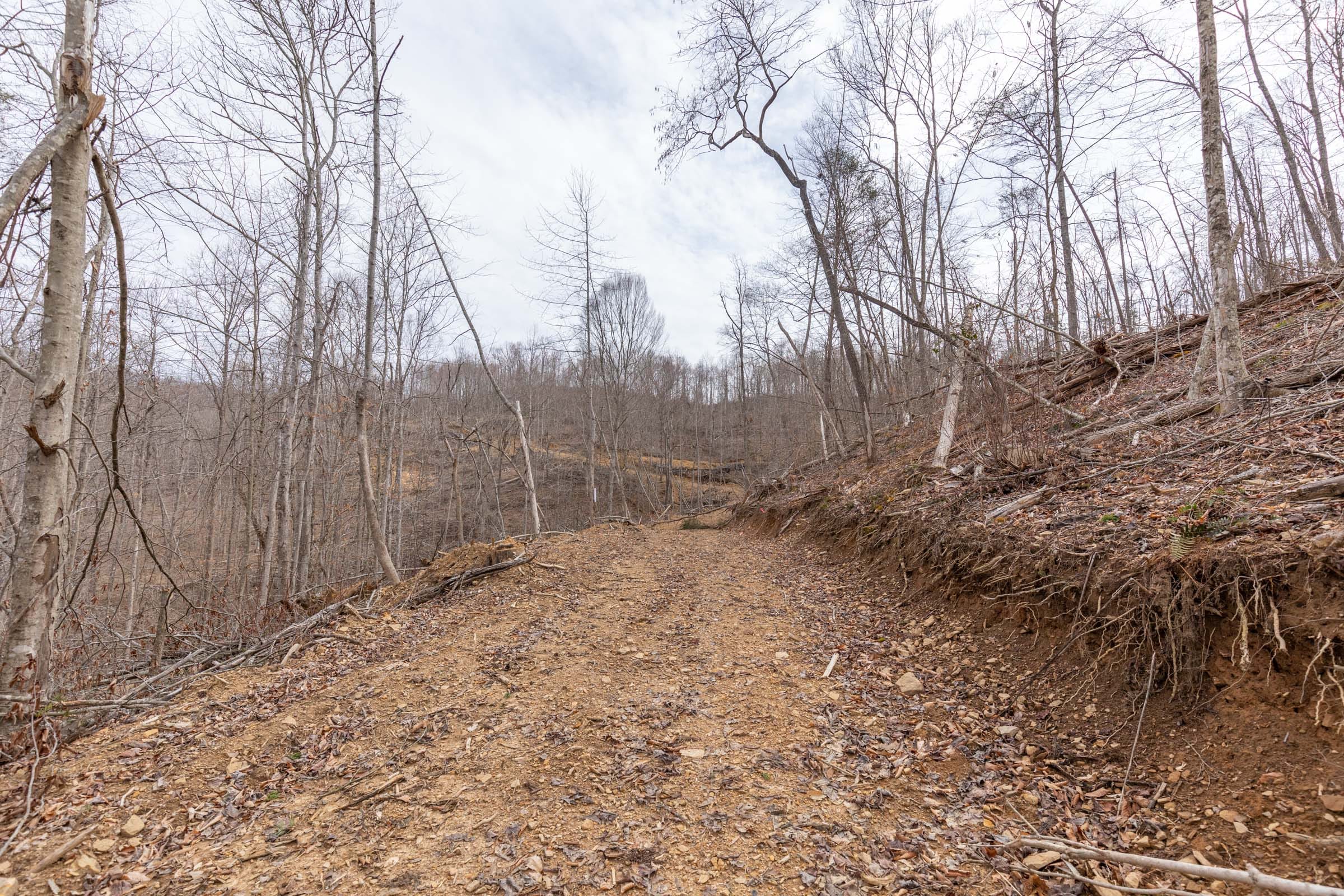Creek Hollow Phase I Tract 4 photo 5