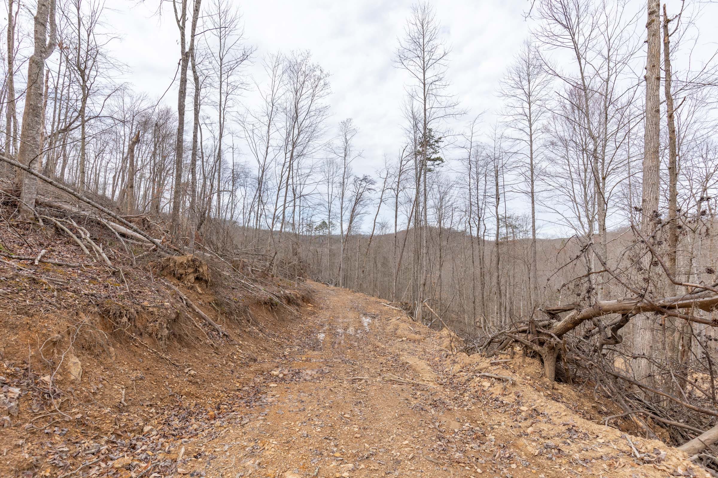 Creek Hollow Phase I Tract 4 photo 7