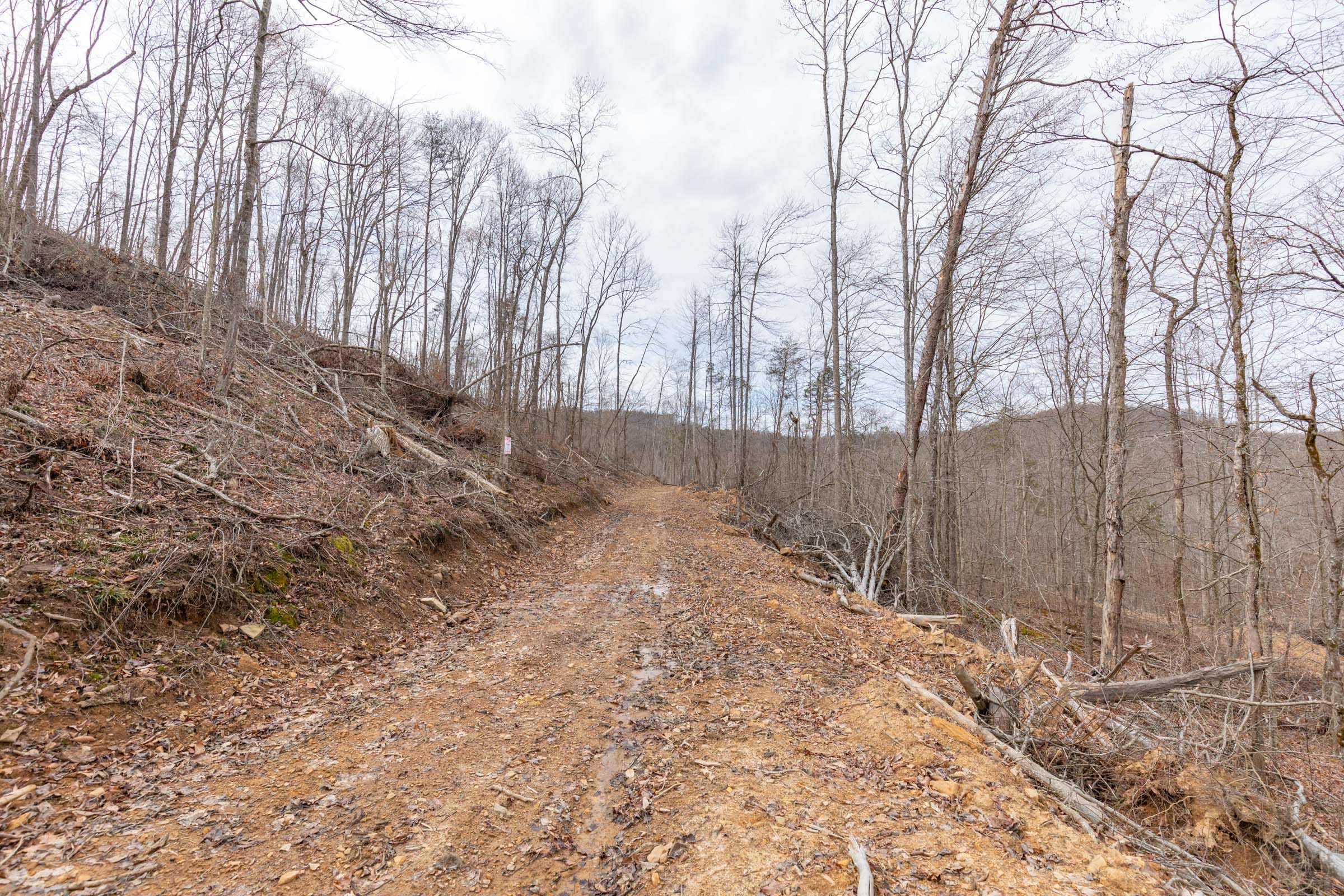 Creek Hollow Phase I Tract 4 photo 1