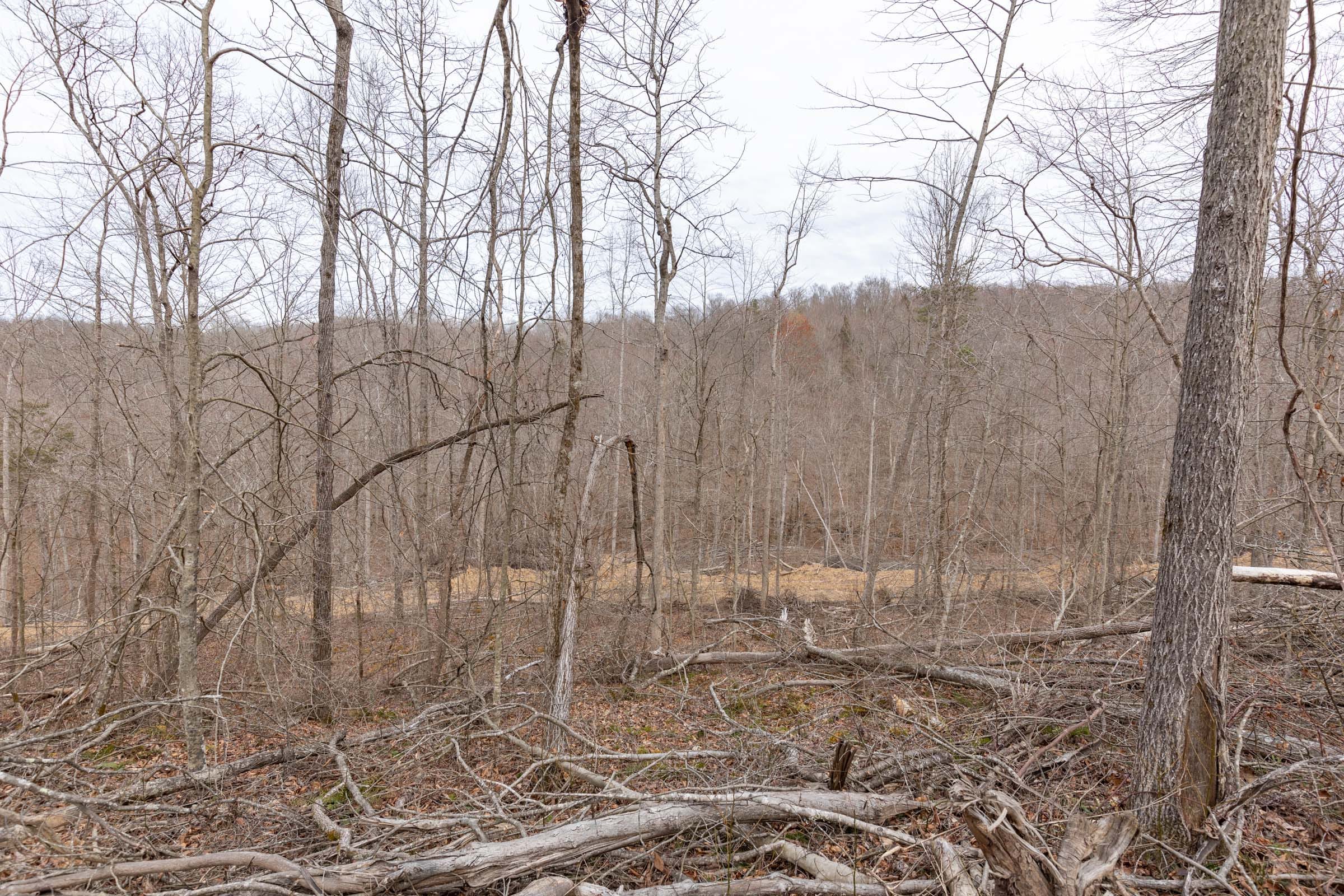 Creek Hollow Phase I Tract 4 photo 2