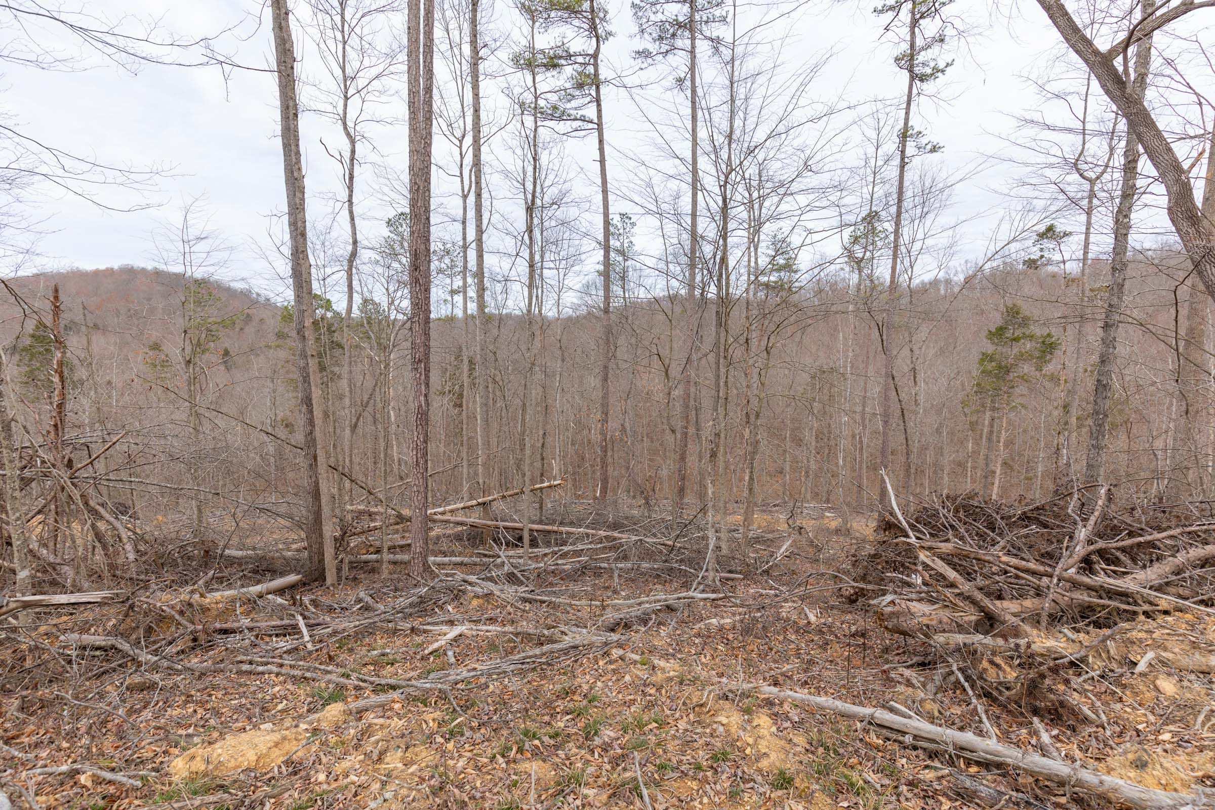 Creek Hollow Phase I Tract 4 photo 6