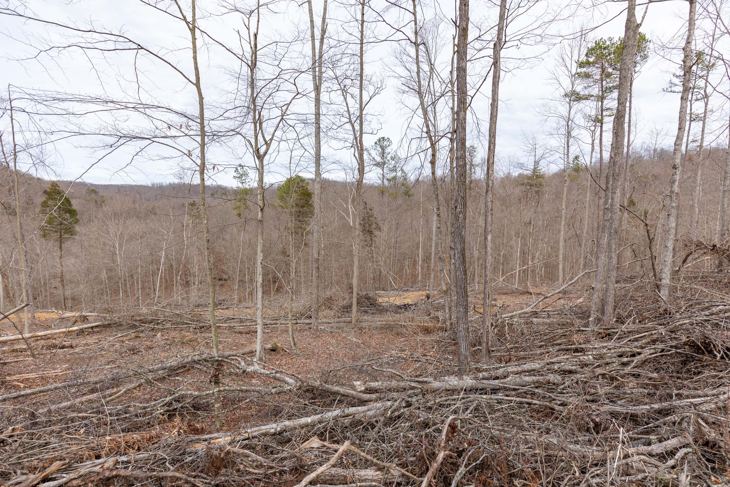 Creek Hollow Phase I Tract 4 photo 8
