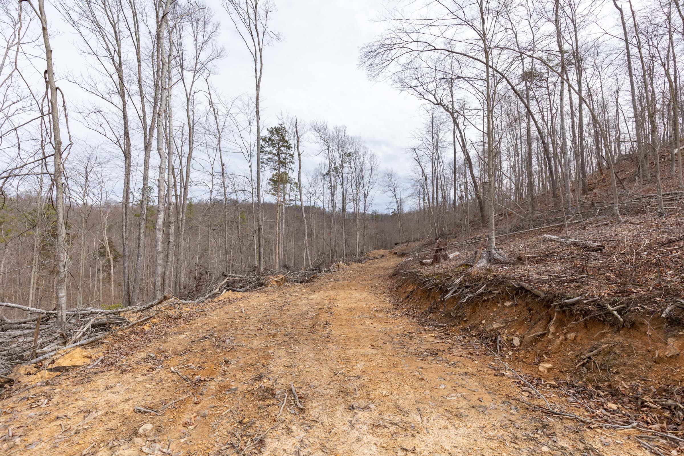 Creek Hollow Phase I Tract 4 photo 9