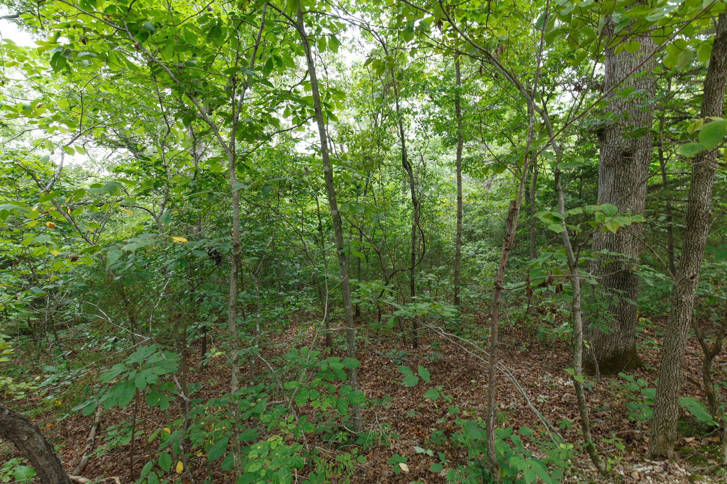 Spring Lake Plat 2 Tract 37 photo 1