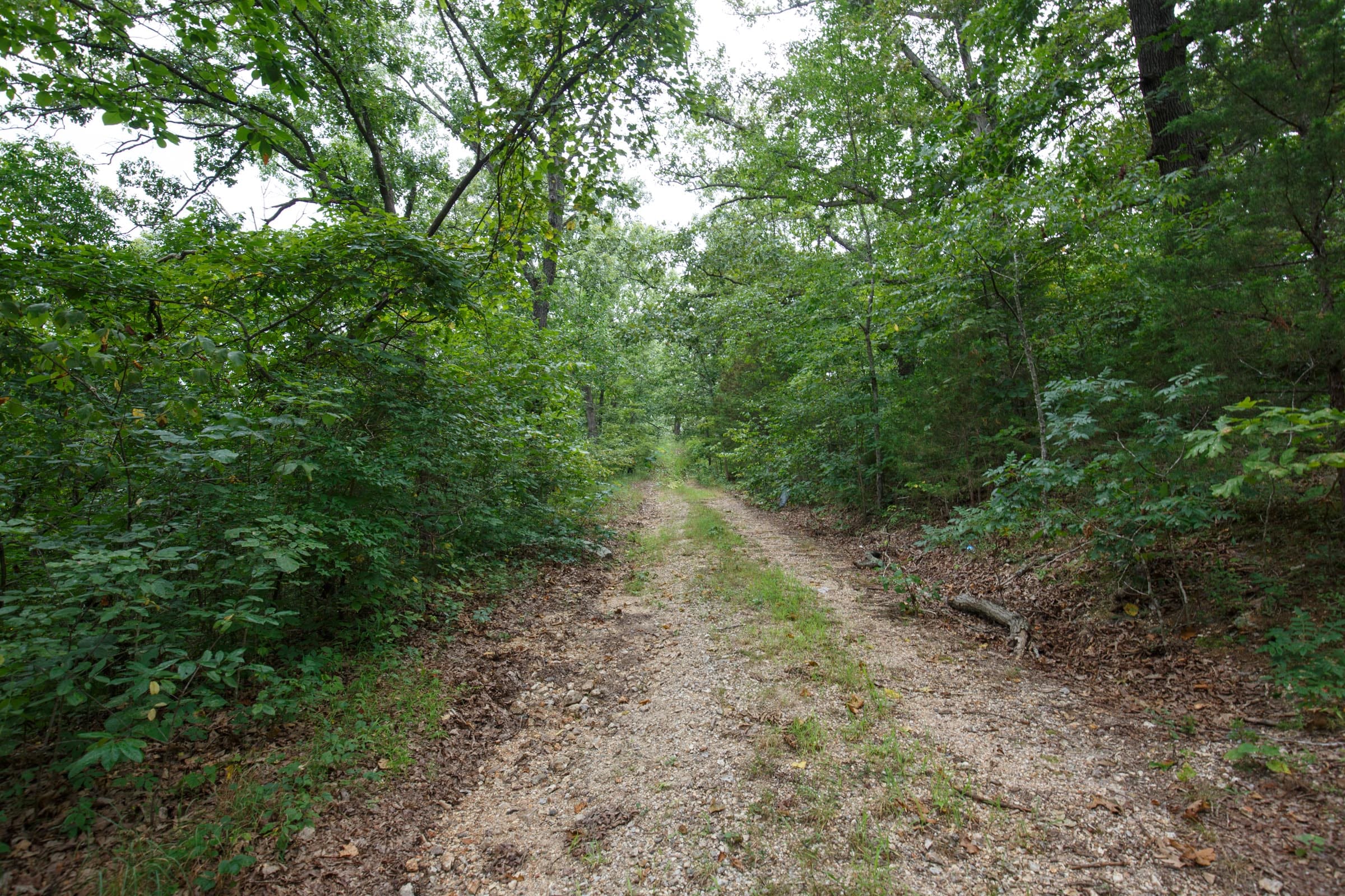 Spring Lake Plat 2 Tract 37 photo 4