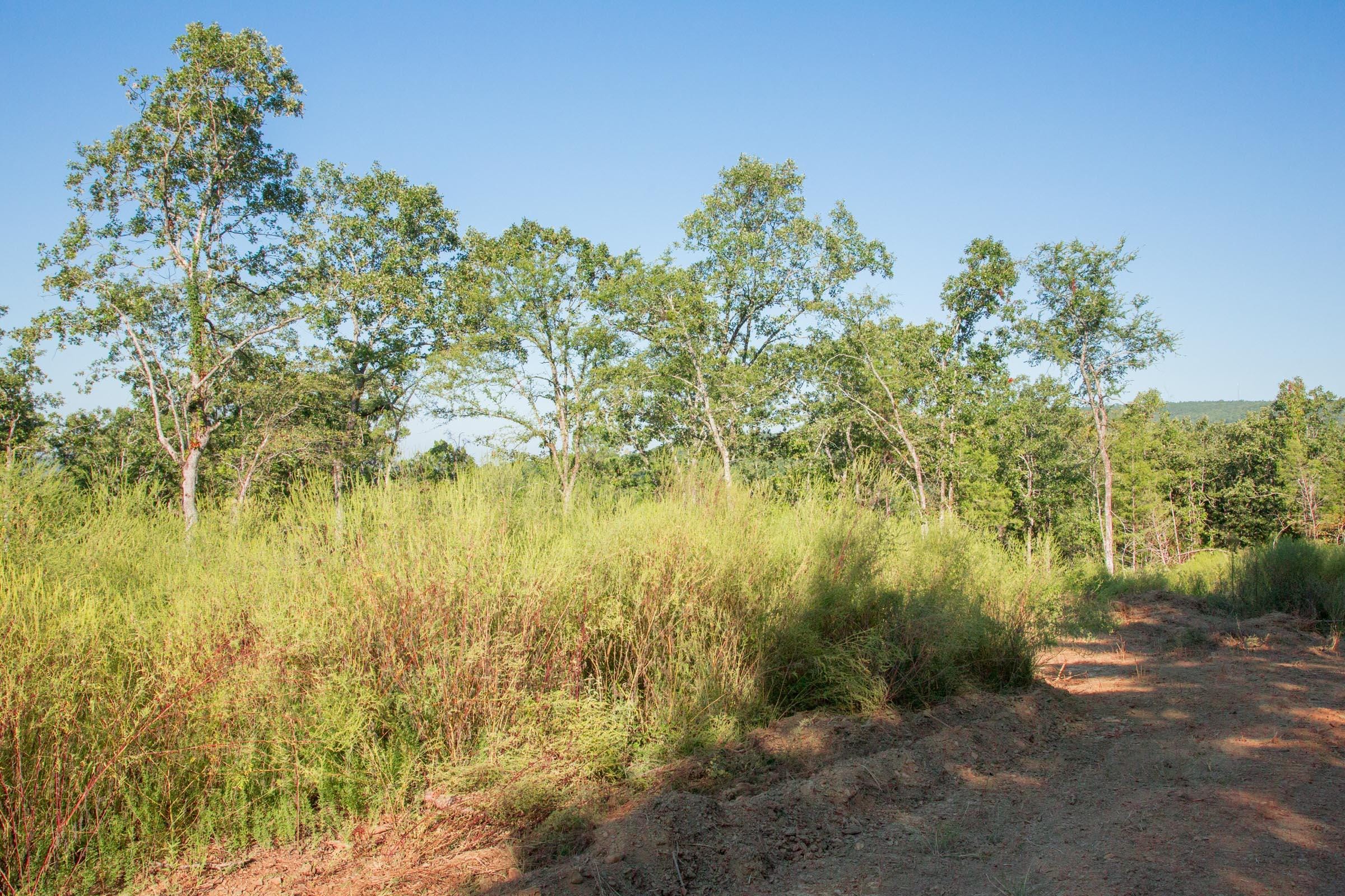 Stone Creek Phase II Tract 271 photo 3