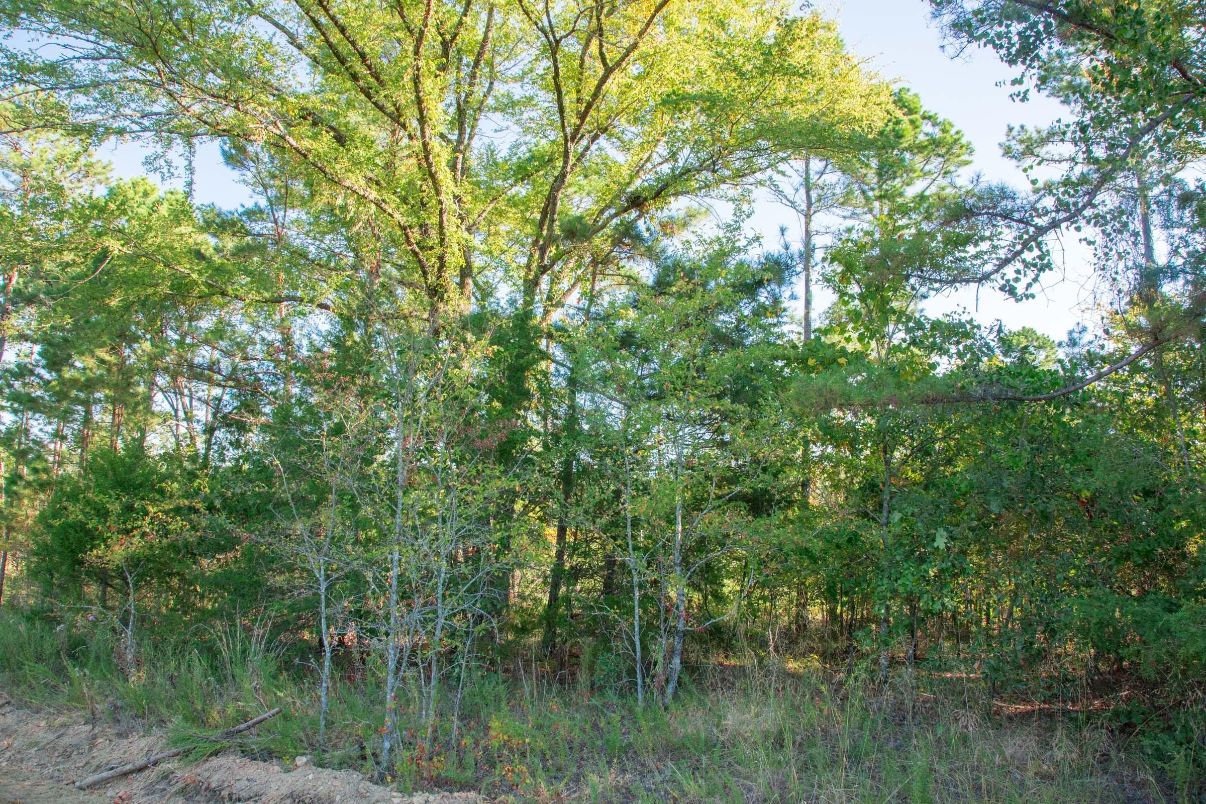 Stone Creek Phase II Tract 271 photo 4