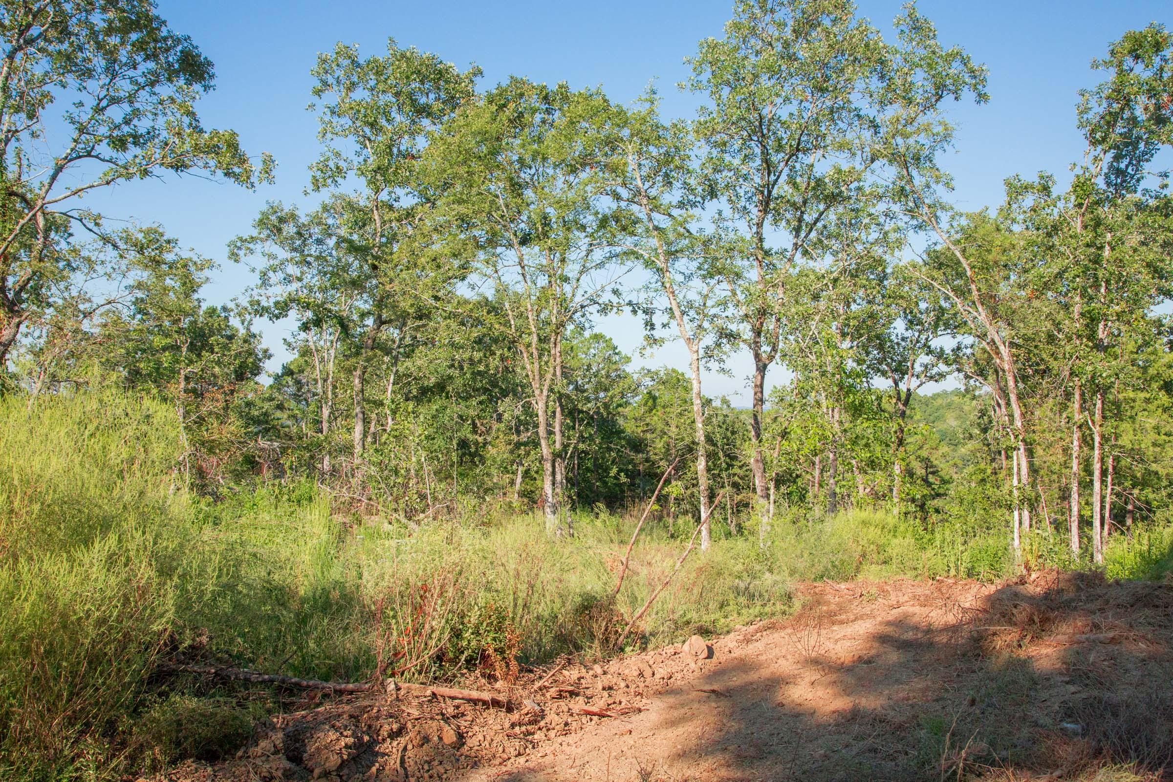 Stone Creek Phase II Tract 271 photo 5
