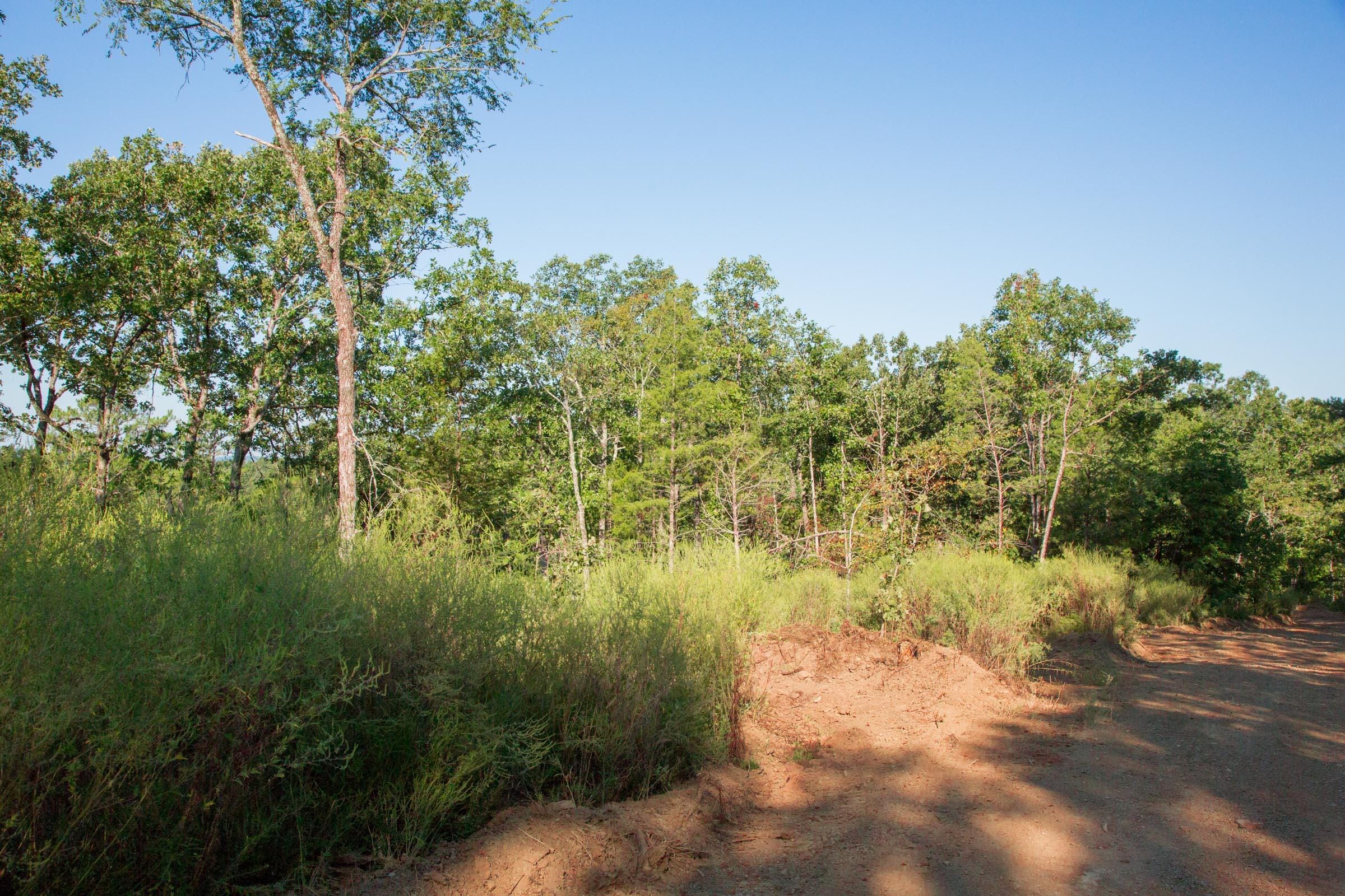 Stone Creek Phase II Tract 271 photo 6