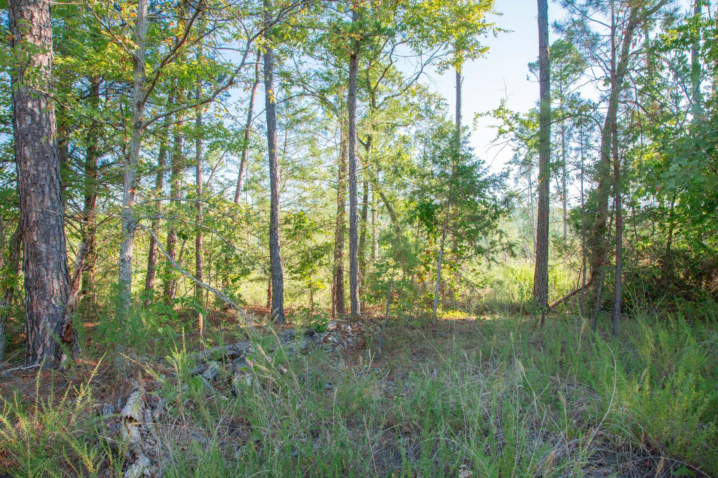 Stone Creek Phase II Tract 271 photo 7