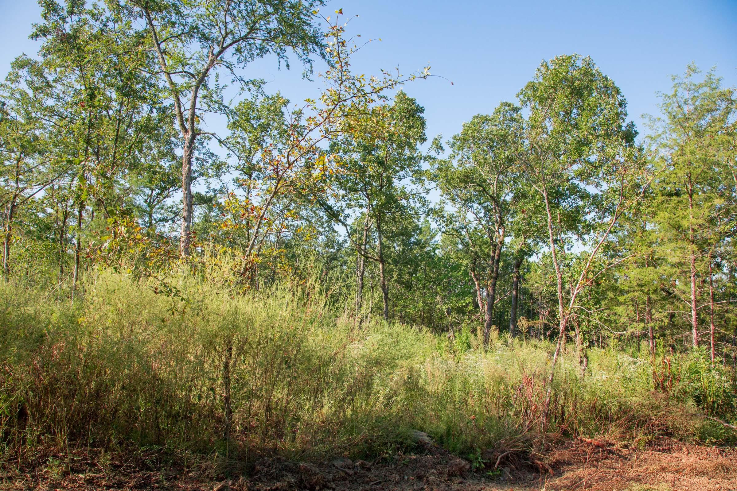 Stone Creek Phase II Tract 271 photo 8