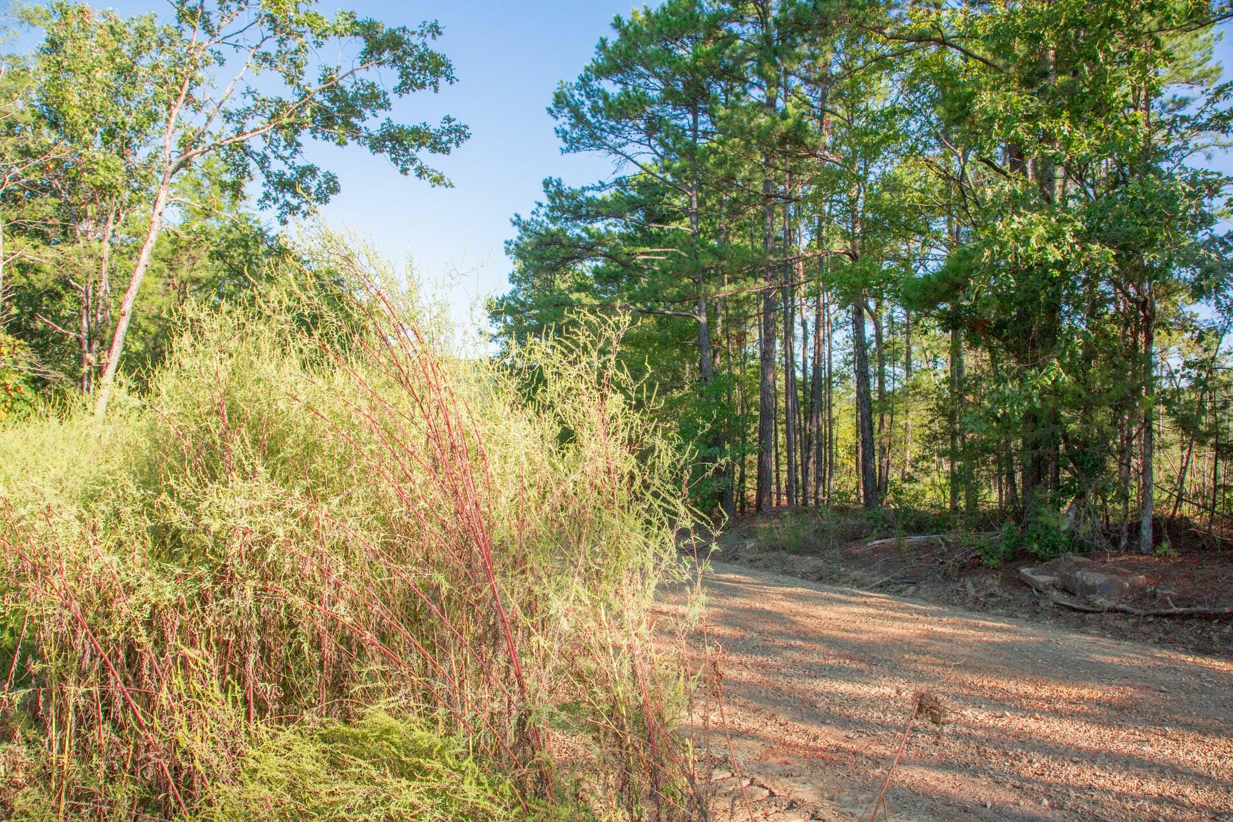 Stone Creek Phase II Tract 271 photo 9