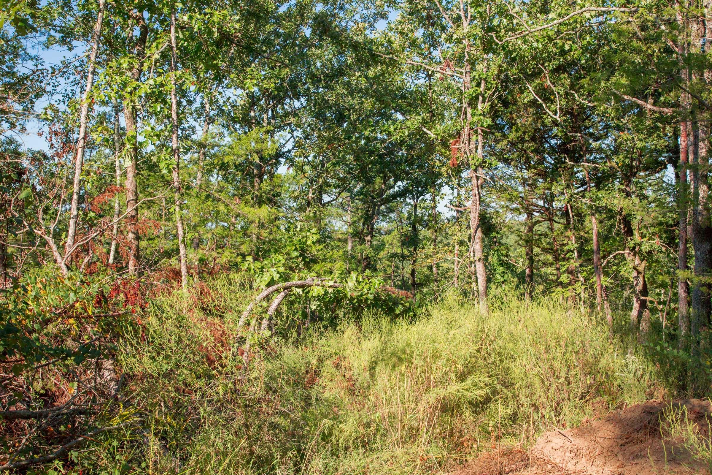 Stone Creek Phase II Tract 271 photo 10